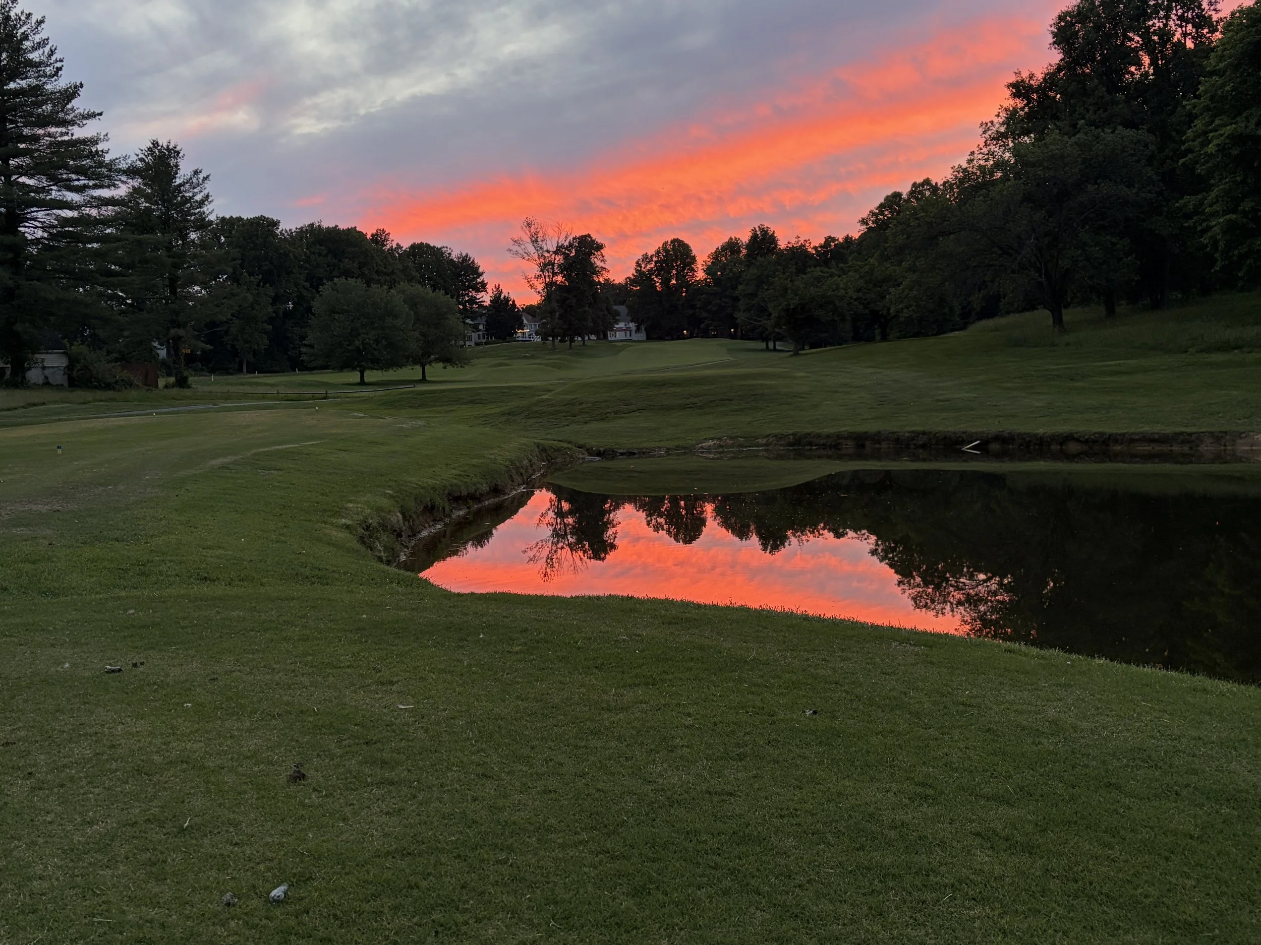 Course Showcase & Community