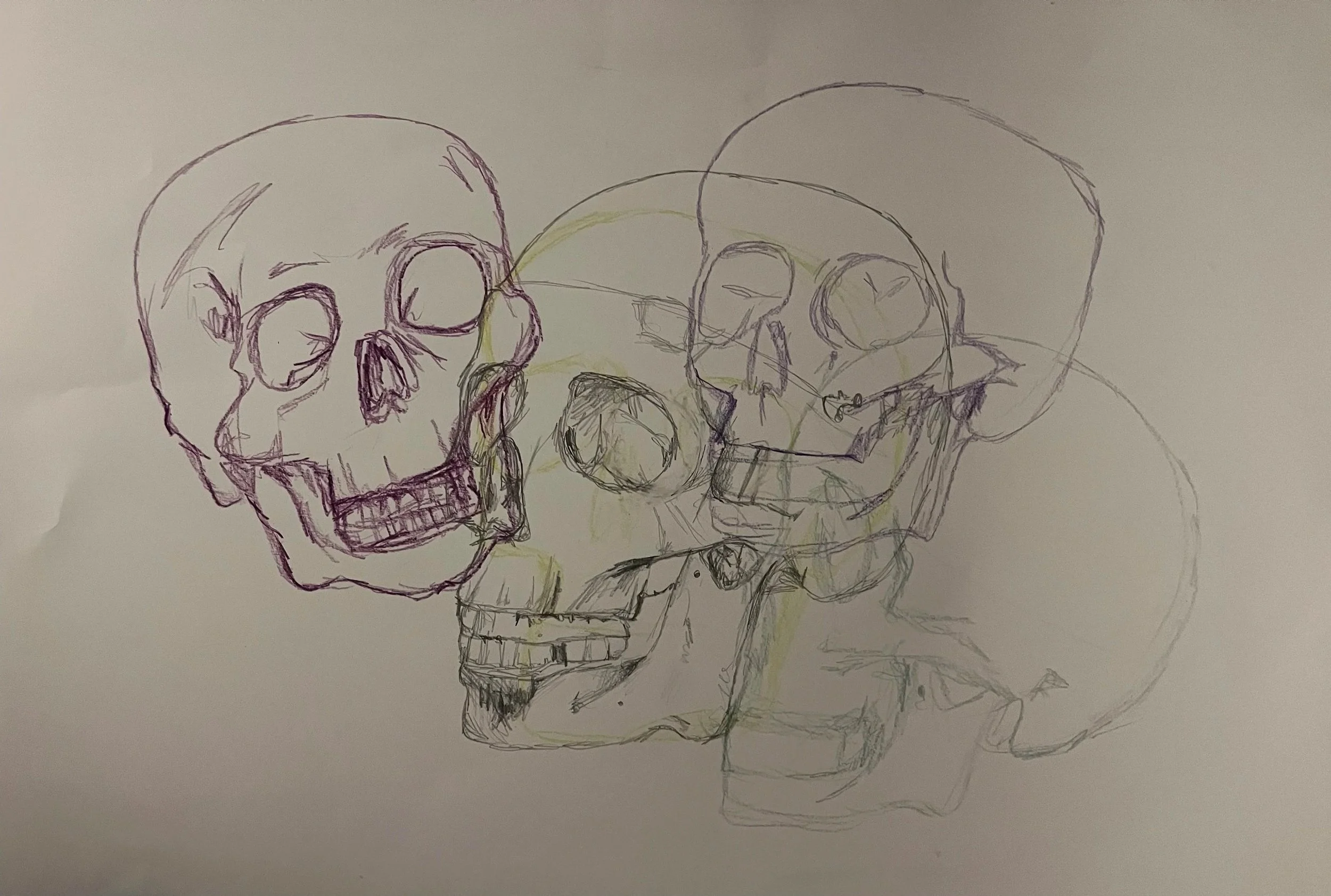Skulls