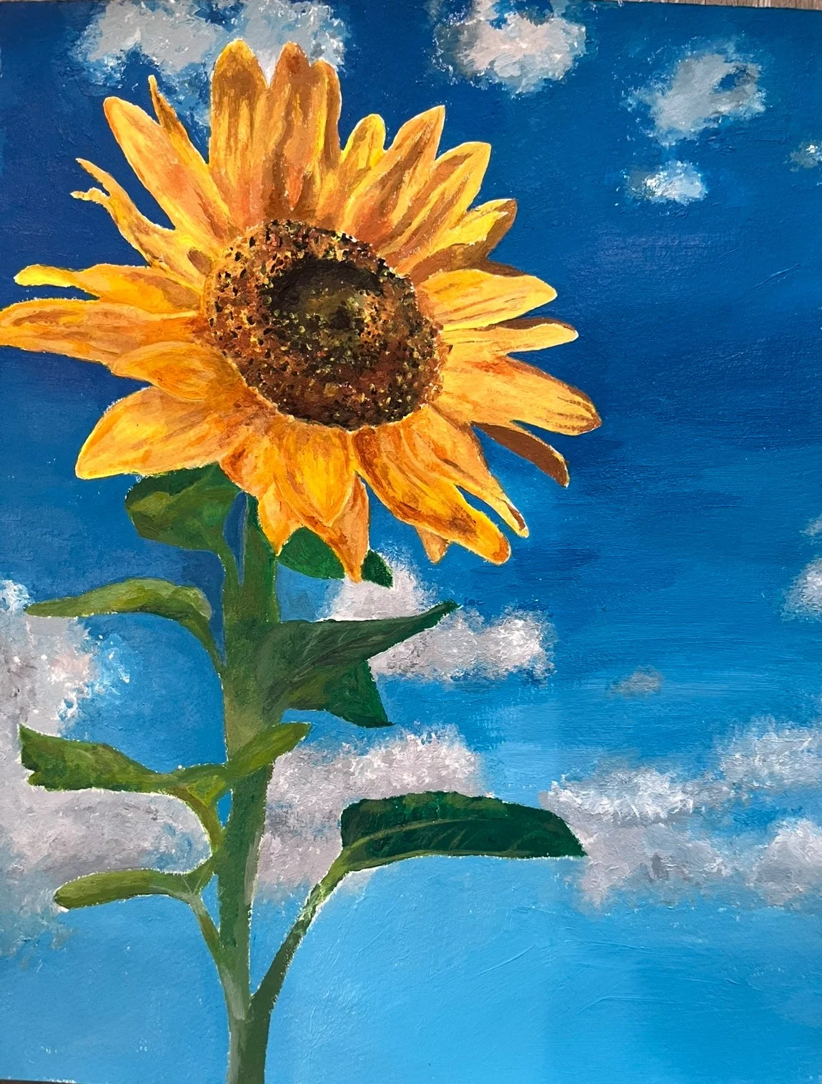 Sunflower