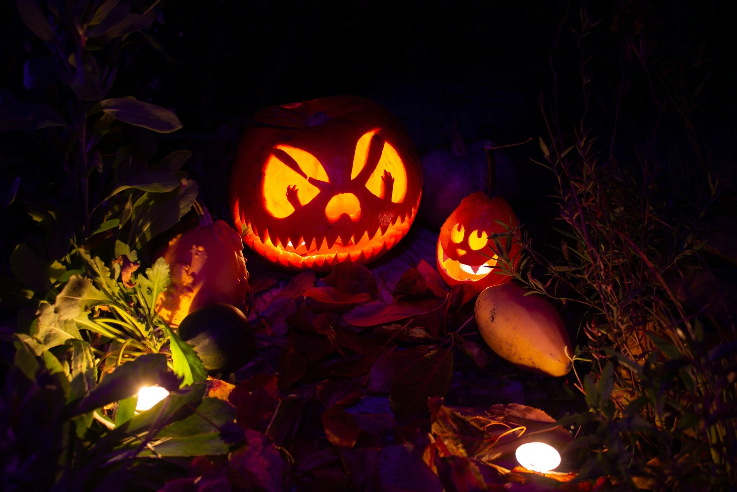 Halloween Bash