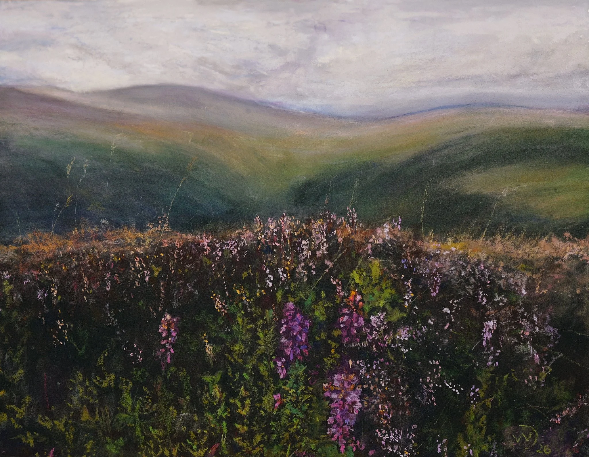 Peaceful fields in Ireland