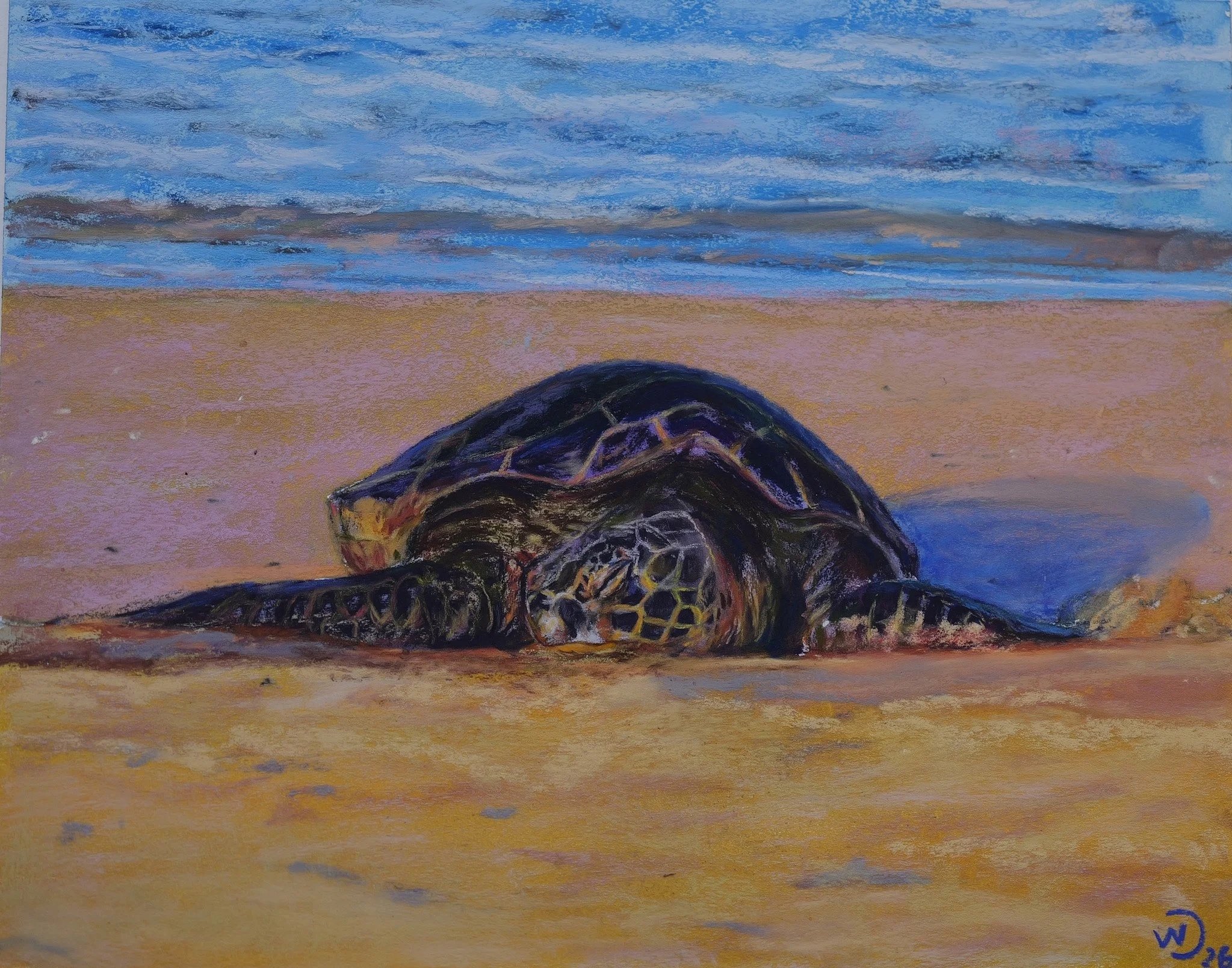 Peaceful as a sleeping Honu
