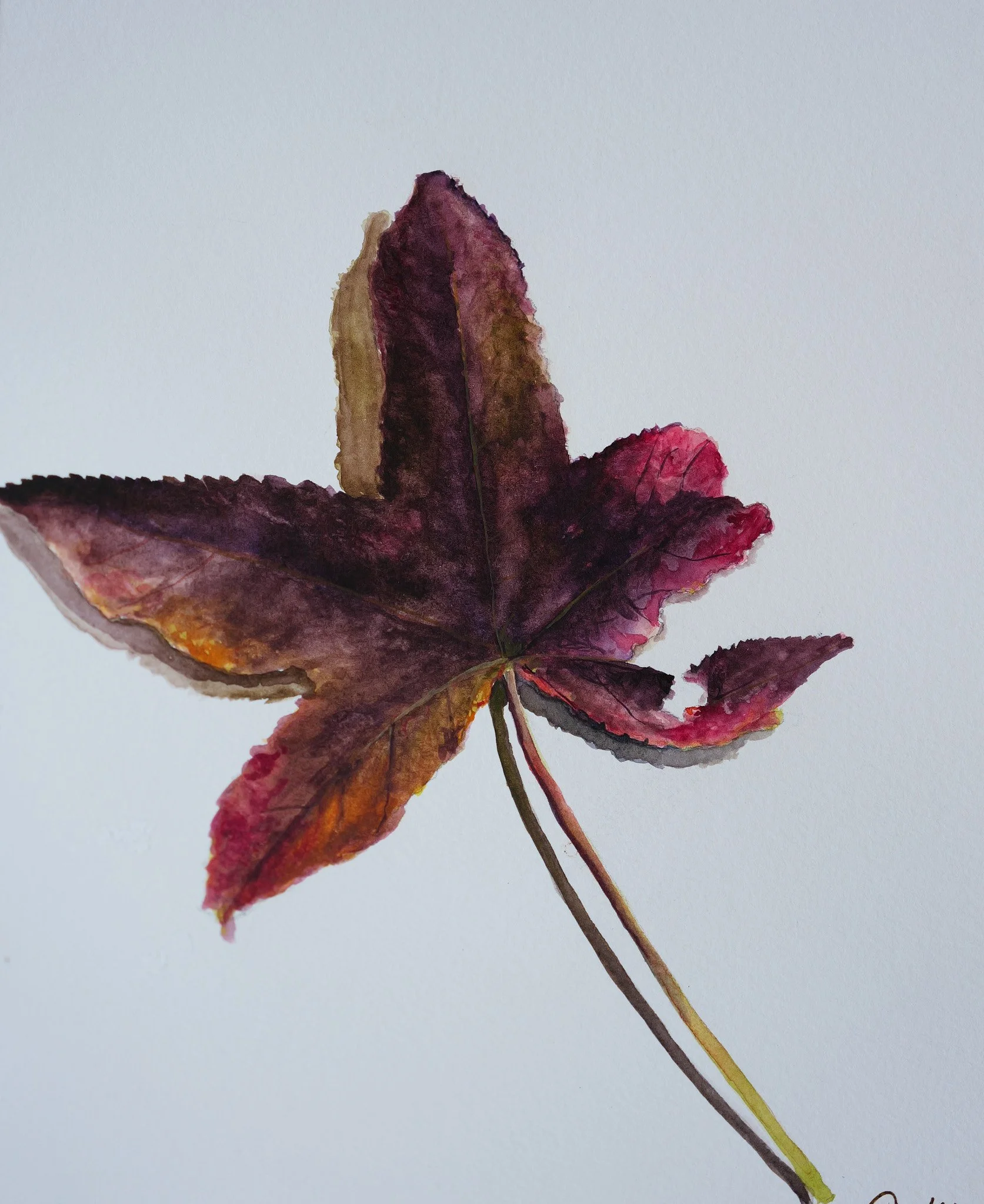 Autumn