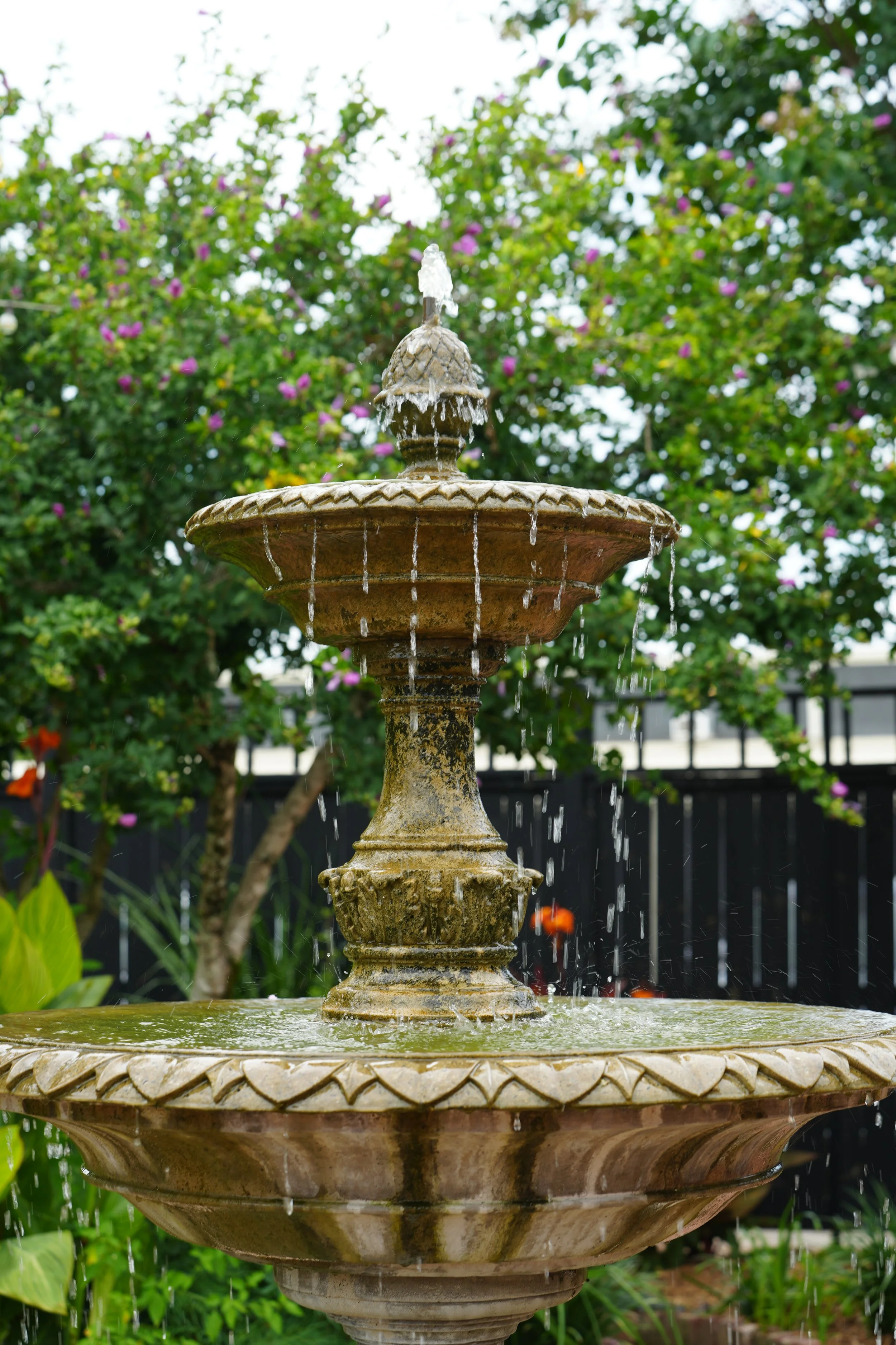 DSC08601.JPG