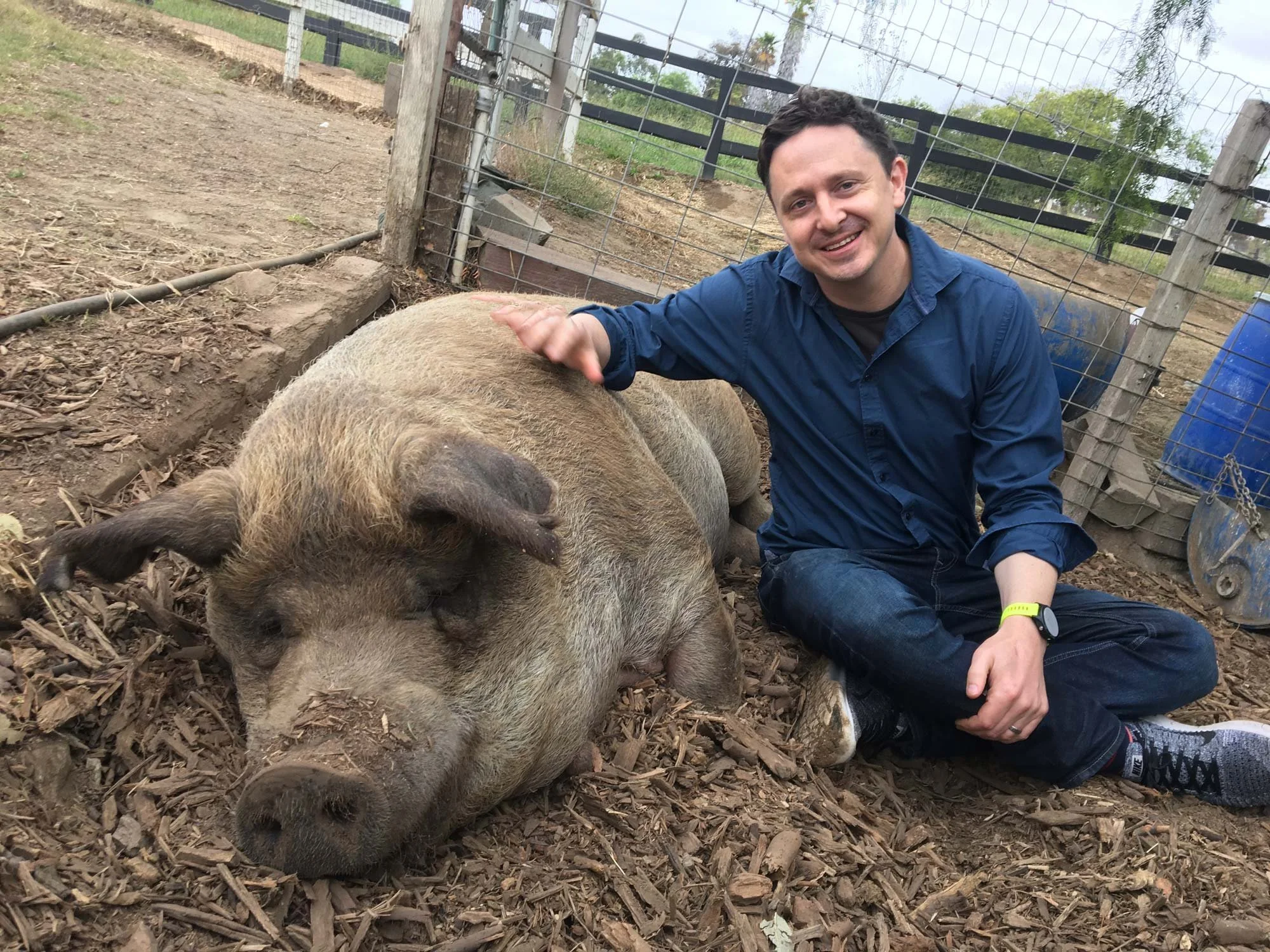 Jason Carpenter sits beside Emma, the farm's enormous pig, with a hand resting on her back at Apricot Lane Farms — The Biggest Little Farm.