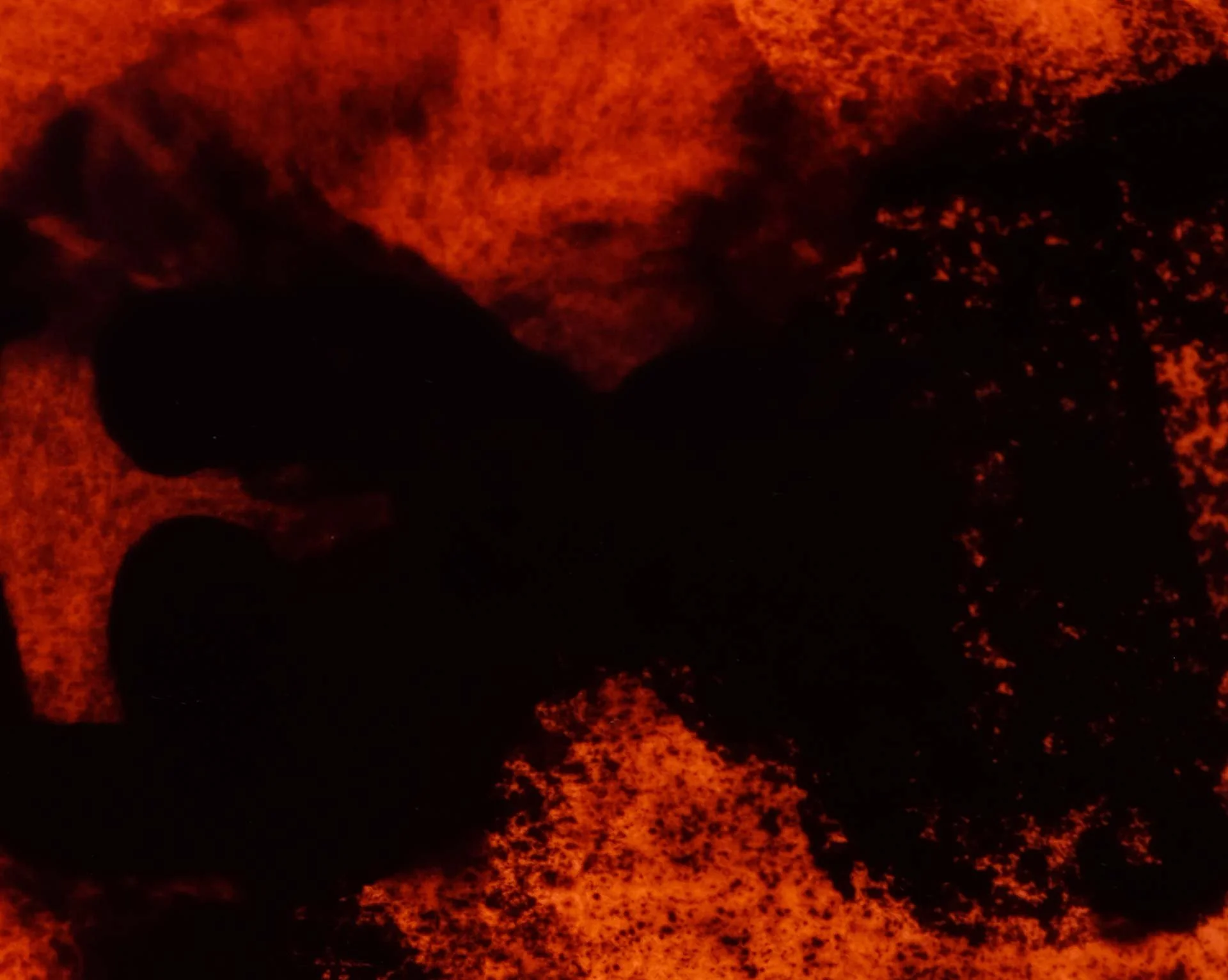 Black shapes billow like smoke through burnt orange — All These Sons.