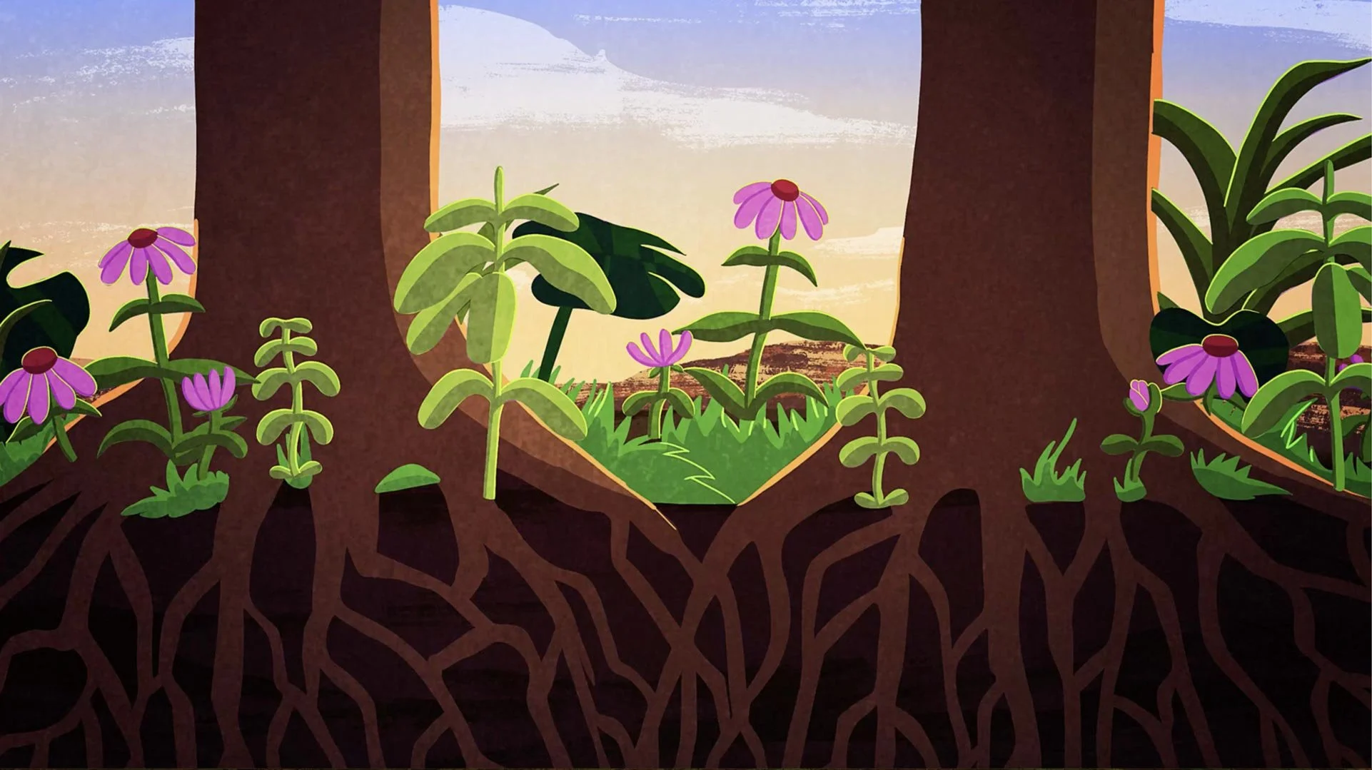 Seedlings and coneflowers sprout between the roots of two trees — The Possibilities of Regeneration, Kiss the Ground.