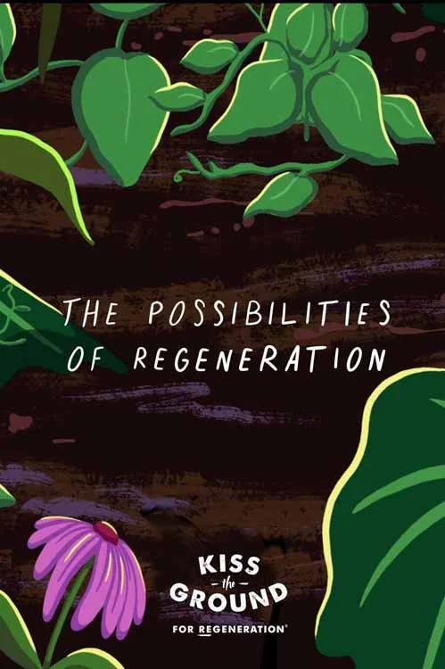 Poster for The Possibilities of Regeneration: the hand-lettered title sits on a band of dark, layered soil, framed by green leaves and vines and a purple coneflower — Kiss the Ground.