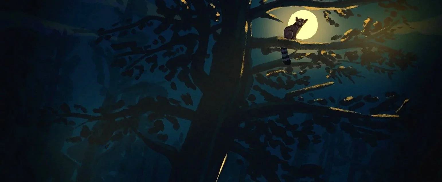 A full moon glows through dark tree branches, a small, ringtail cat silhouetted among them — The Mission, National Geographic.