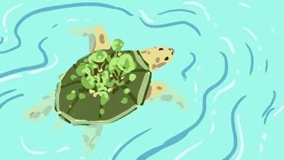 Color script: a turtle with a forest growing on its shell swims through pale aqua water — The Possibilities of Regeneration, Kiss the Ground.