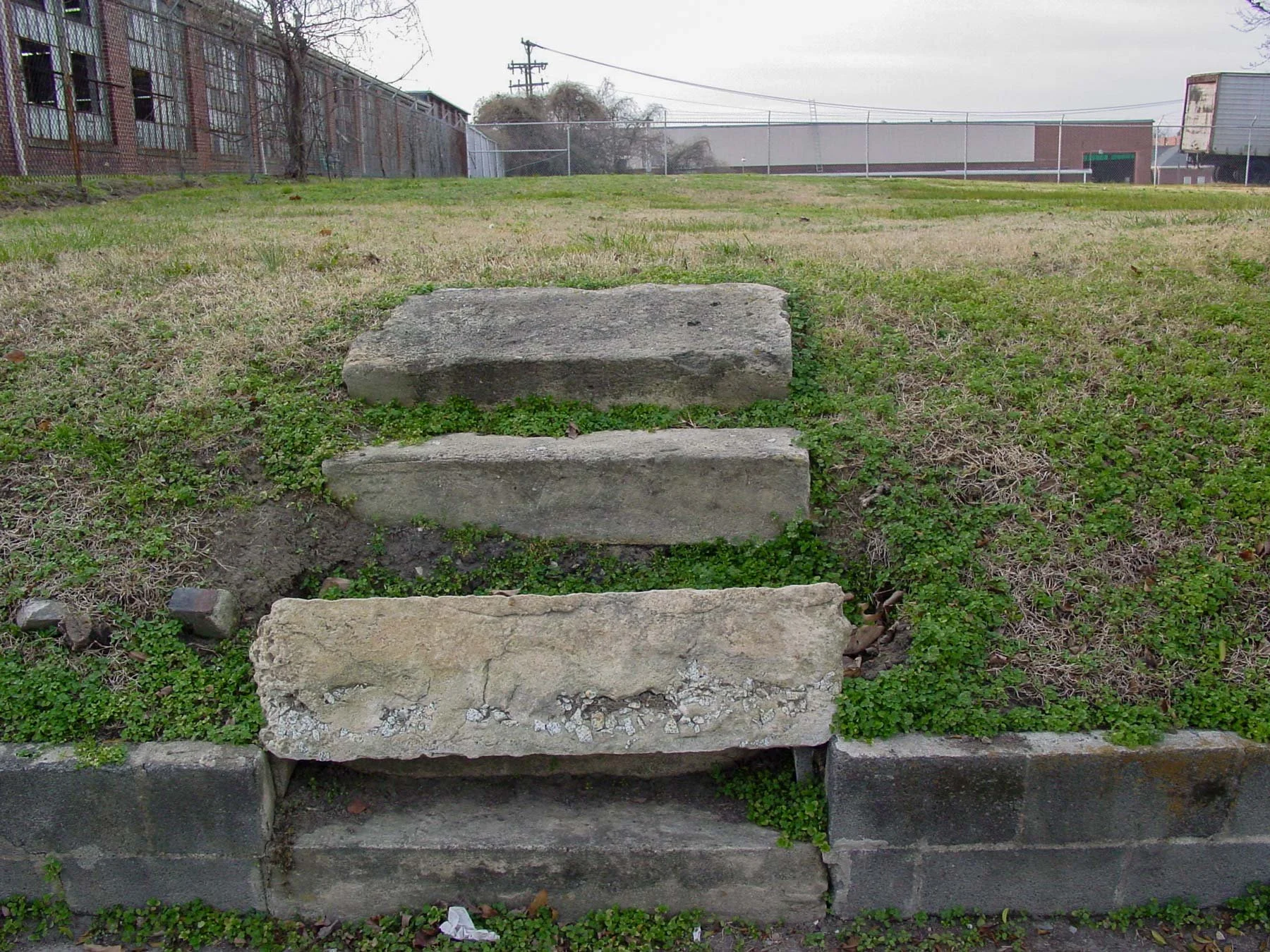 Three stone steps climb a grassy slope to an empty lot where the house used to be — The Renter.