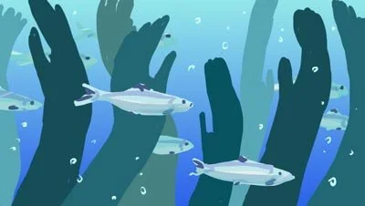 Color script: fish swim through a forest of kelp made of hands — The Possibilities of Regeneration, Kiss the Ground.