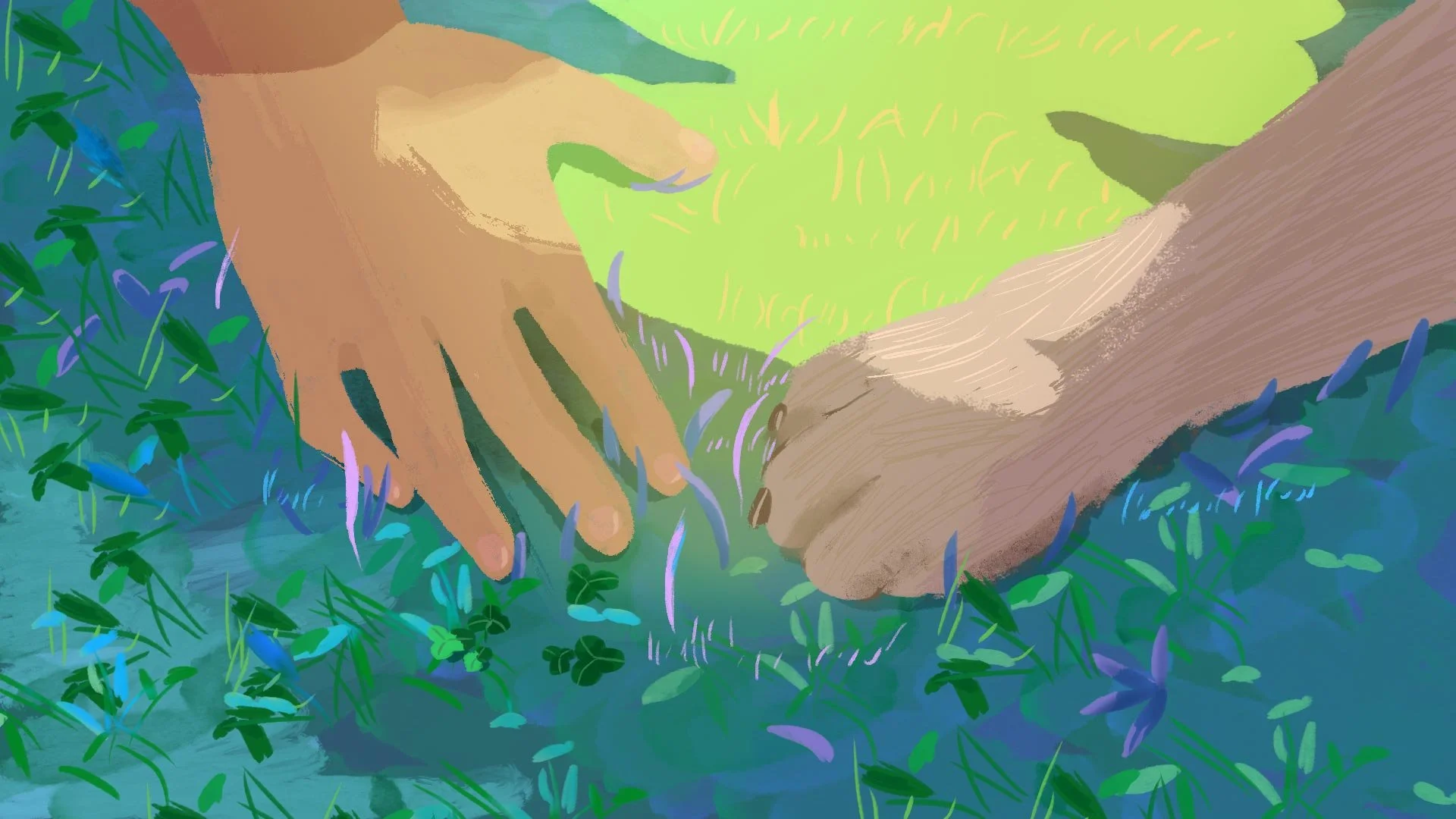 A hand and a paw, close to touching in blue-green grass and clover, with soft yellow-green light behind them — Misty.