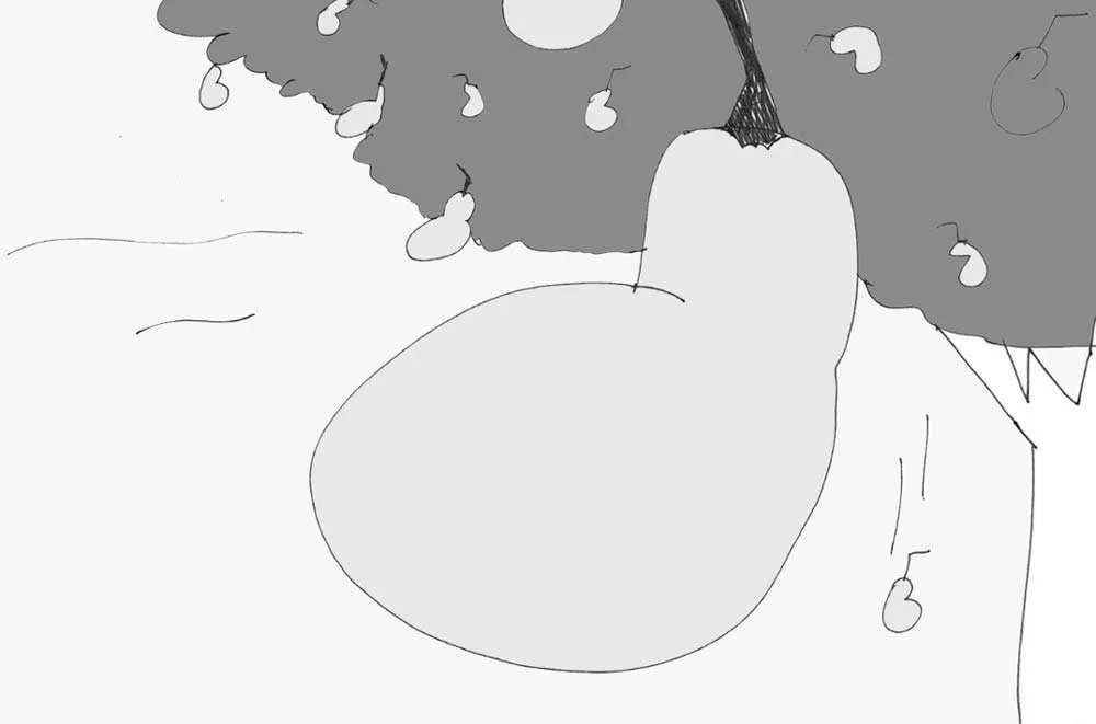 Storyboard: a pear hangs from a branch of the tree — The Renter.