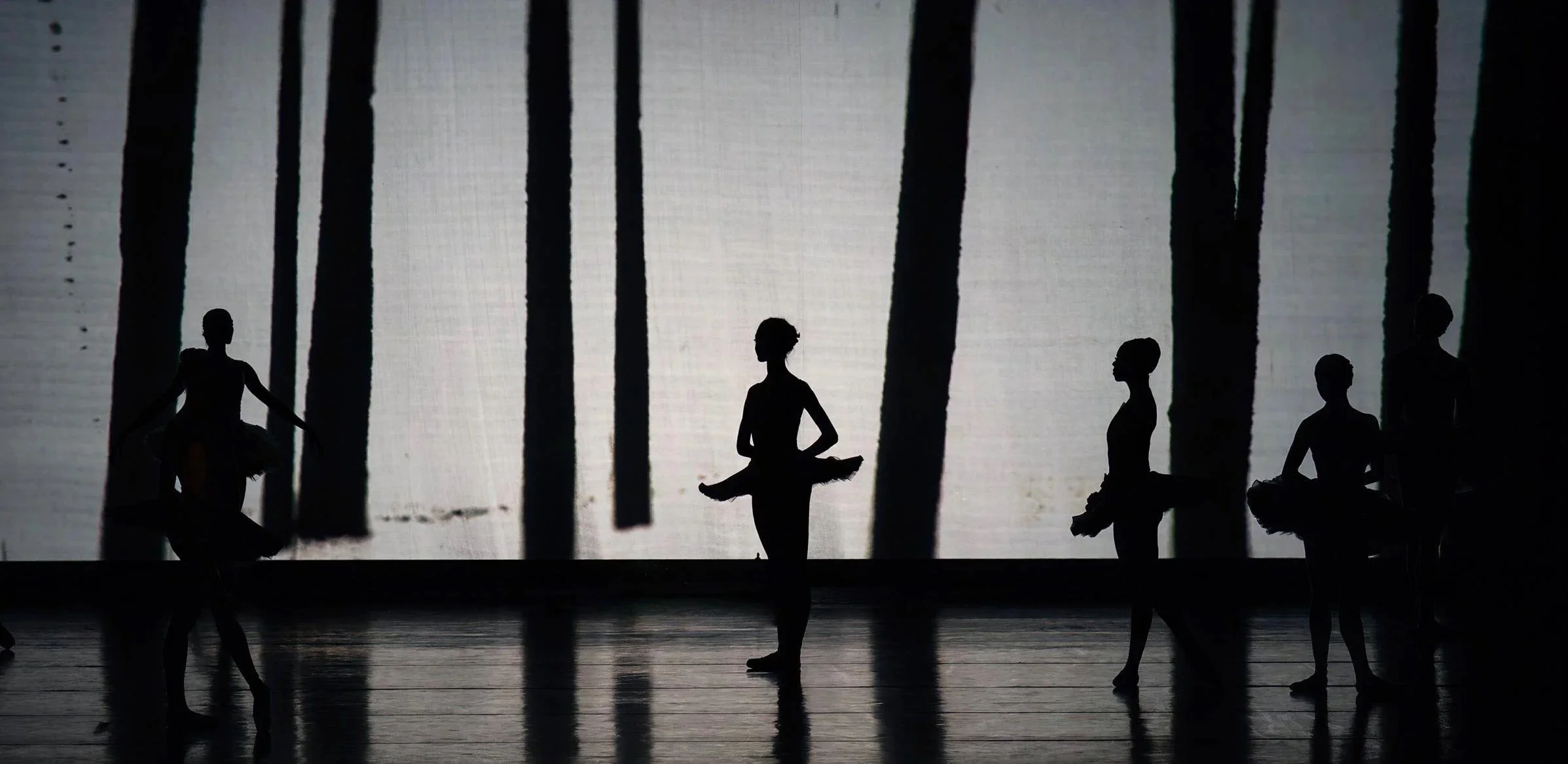 Silhouetted ballerinas stand in front of a projected painting of a dark forest — Between Dogs & Wolves.