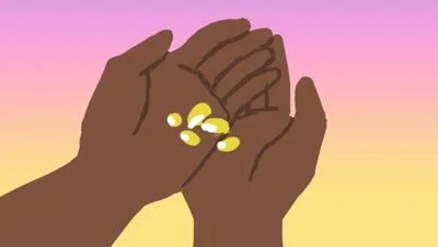 Color script: cupped hands hold kernels of corn against a sunset — The Possibilities of Regeneration, Kiss the Ground.