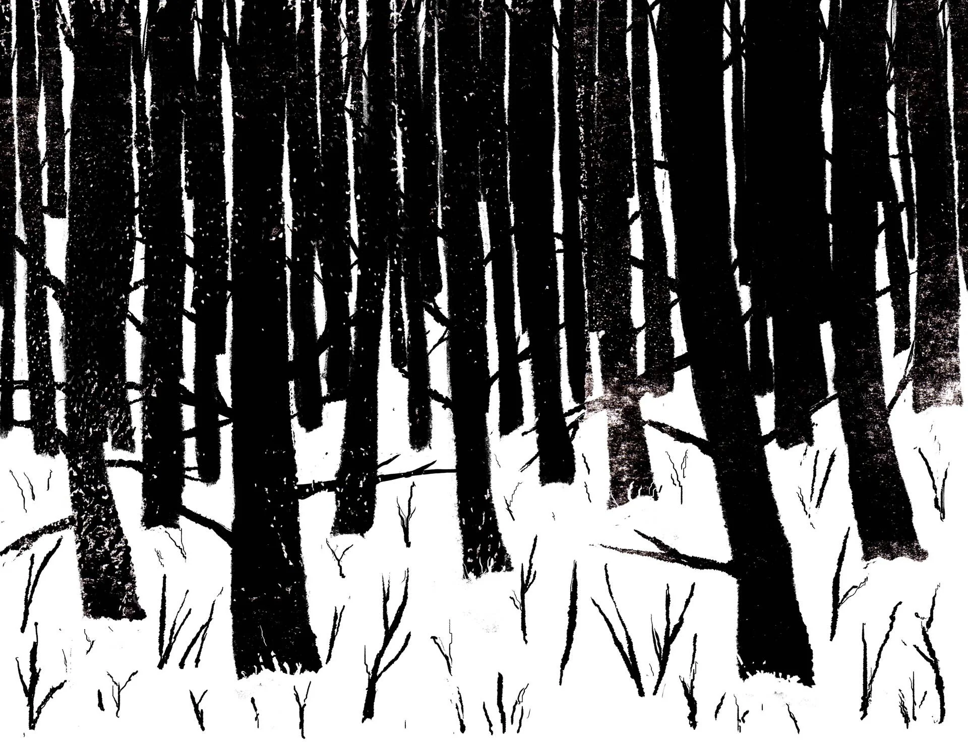 Dark tree trunks crowd a snowy forest floor — Between Dogs & Wolves, Wiener Staatsballett.
