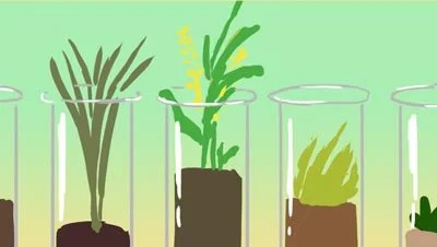 Color script: plants grow in rows of glass jars — The Possibilities of Regeneration, Kiss the Ground.