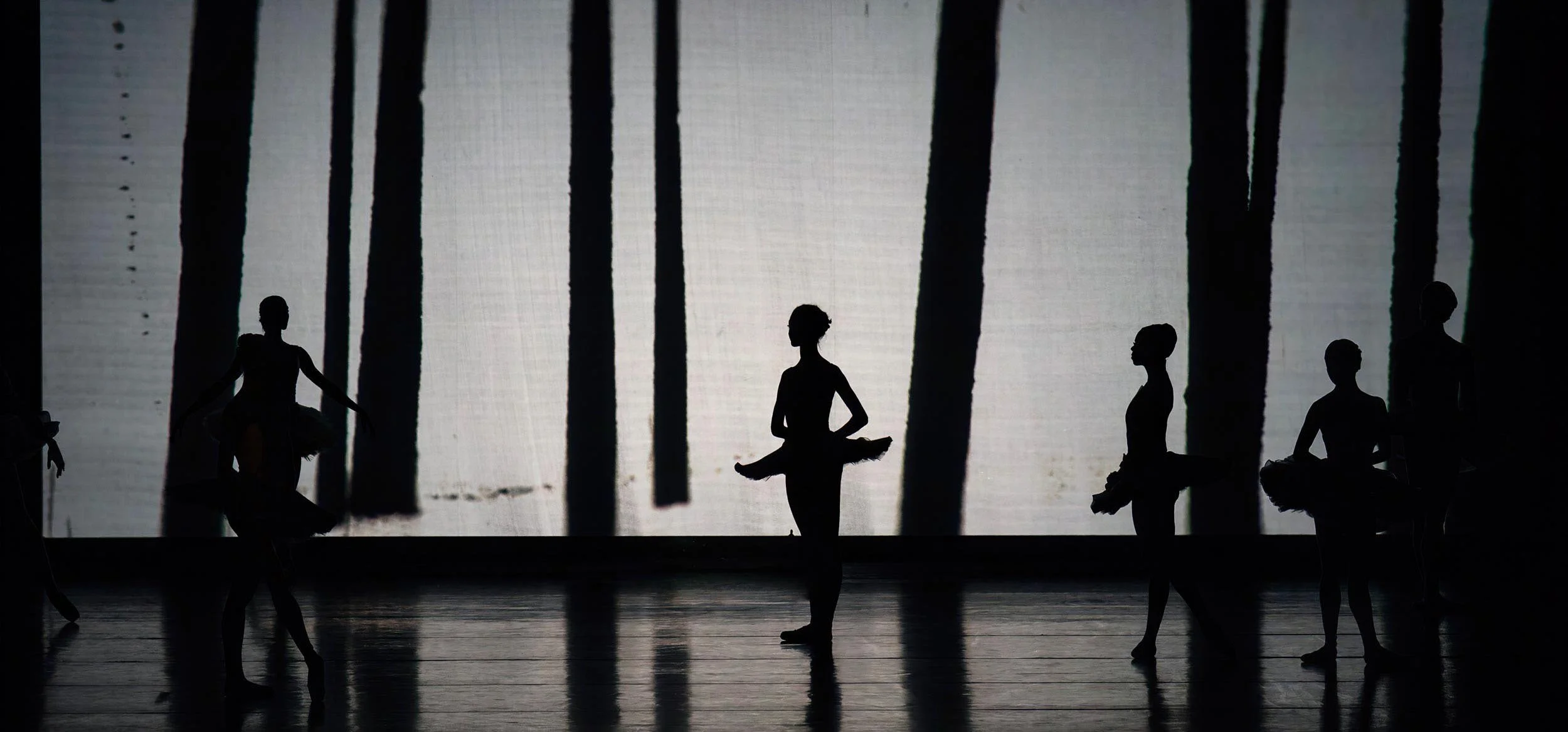 On opening night, ballerinas in tutus stand in silhouette before a projected forest of dark painted trees — Between Dogs & Wolves, Wiener Staatsballett.