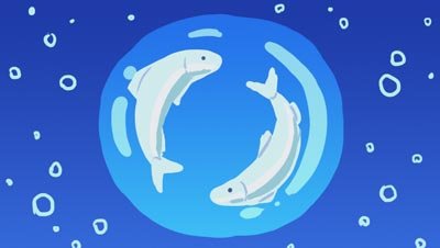 Color script: two white fish circle inside a ring of blue — The Possibilities of Regeneration, Kiss the Ground.