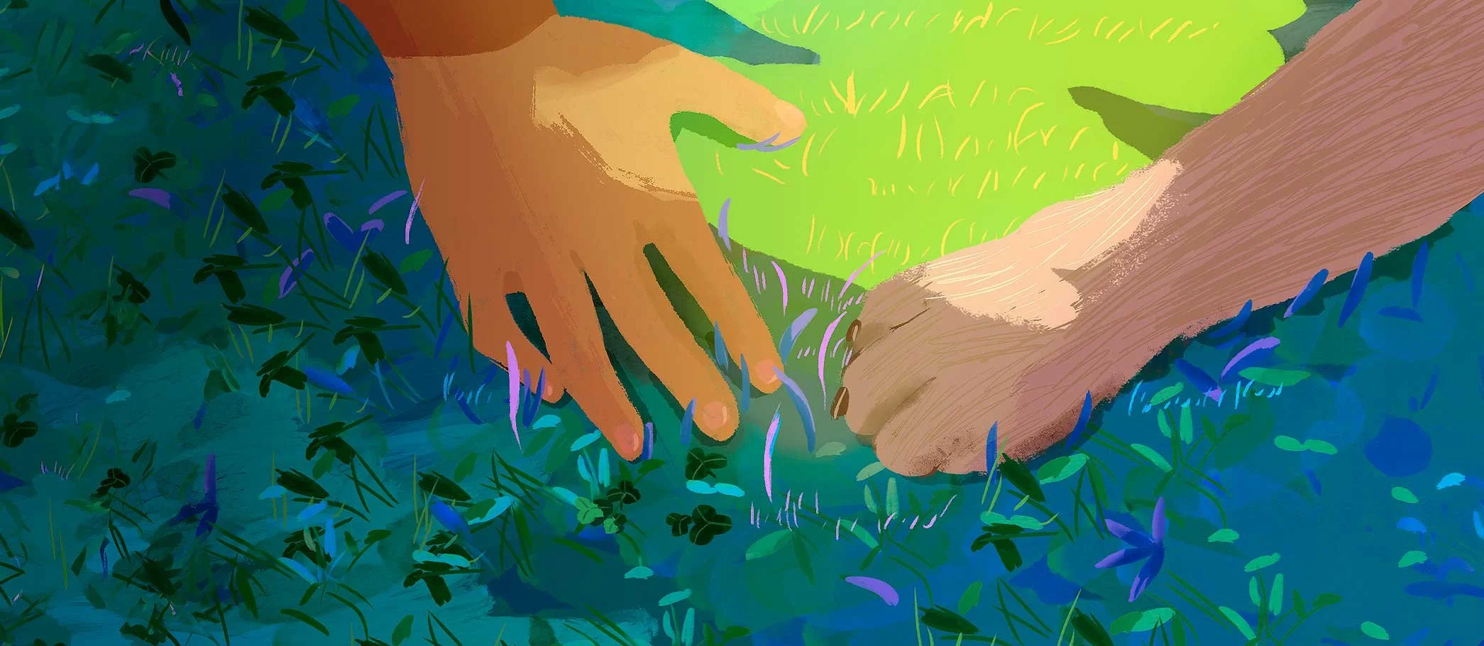 A girl's hand and a husky's paw, close to touching in the grass — Misty.