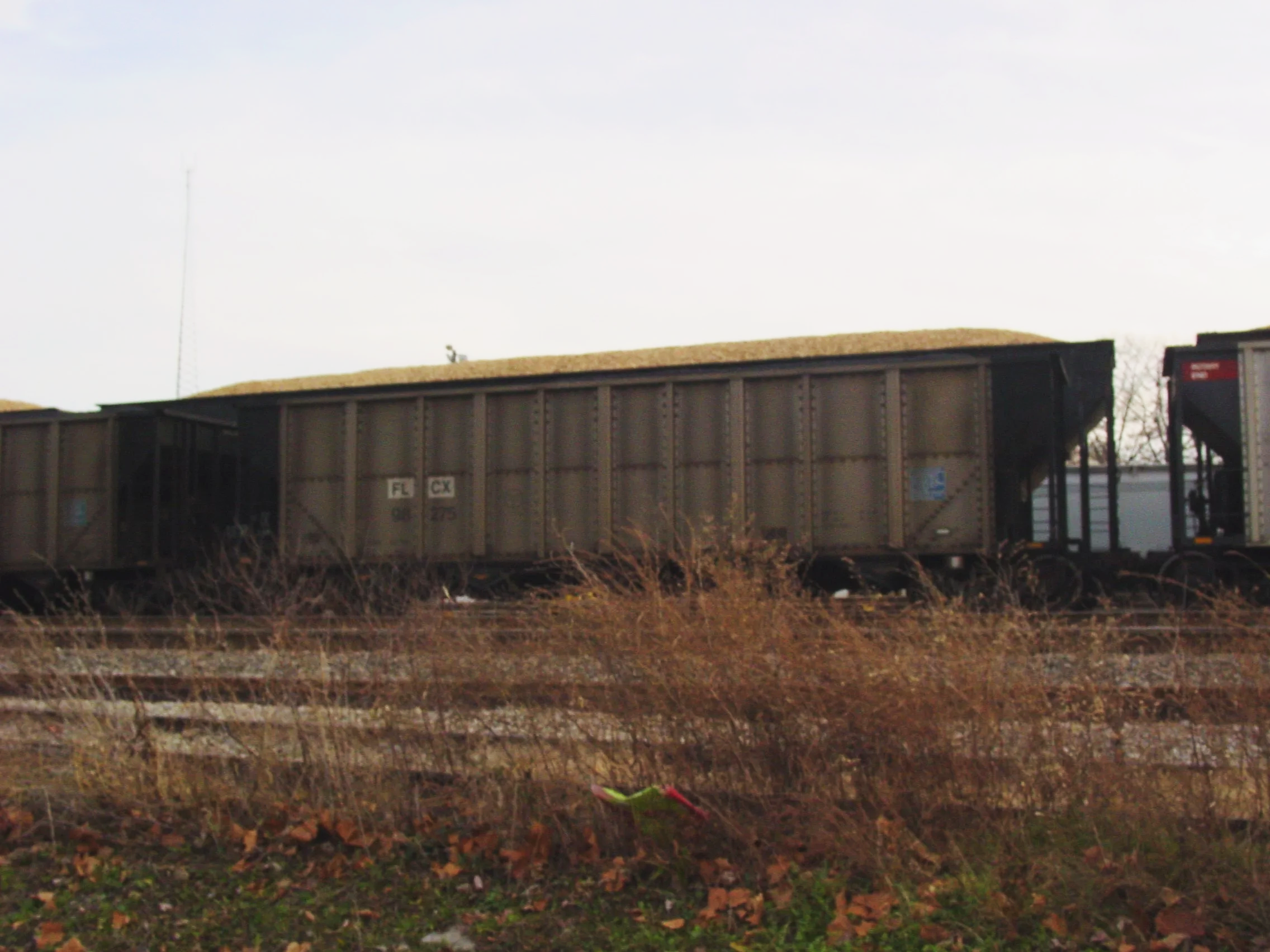 A freight car rolls past on the tracks beyond a strip of dry, overgrown grass — The Renter.
