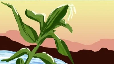 Color script: a young corn plant grows against a peach sky — The Possibilities of Regeneration, Kiss the Ground.