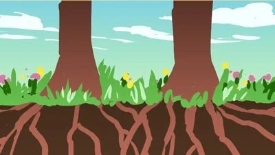 Color script: tree roots spread through the soil beneath the grass — The Possibilities of Regeneration, Kiss the Ground.