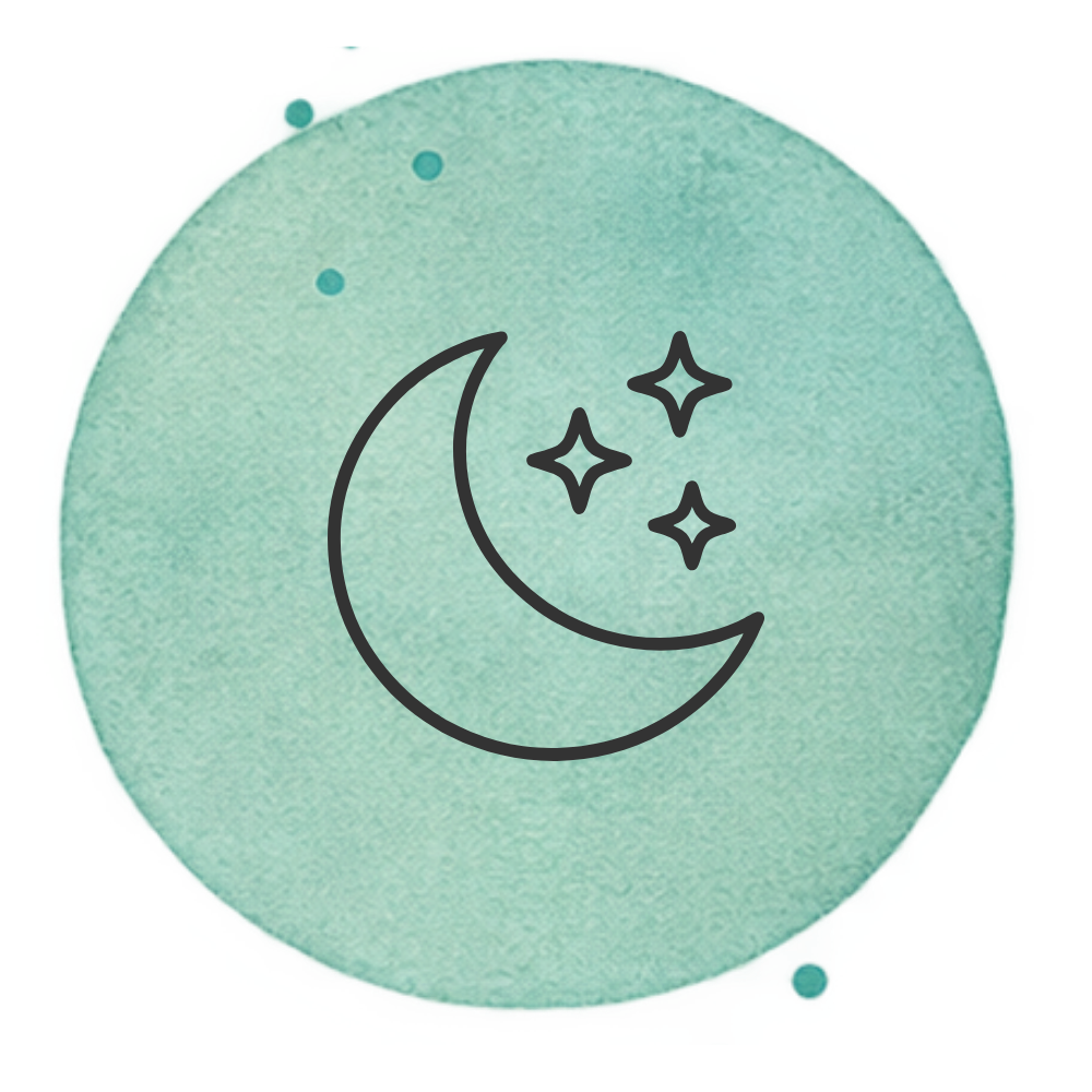 moon icon