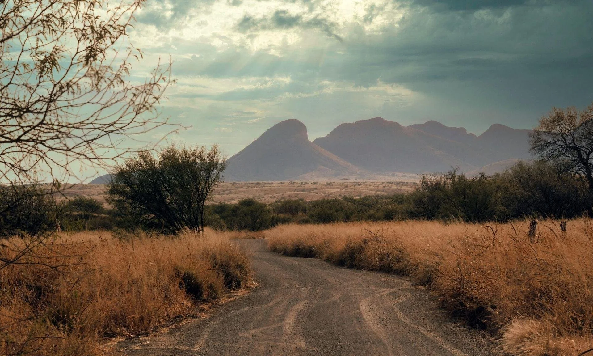 A dirt road winding through a semi-arid landscape with tall grasses and sparse trees, leading towards a mountain range under a partly cloudy sky.