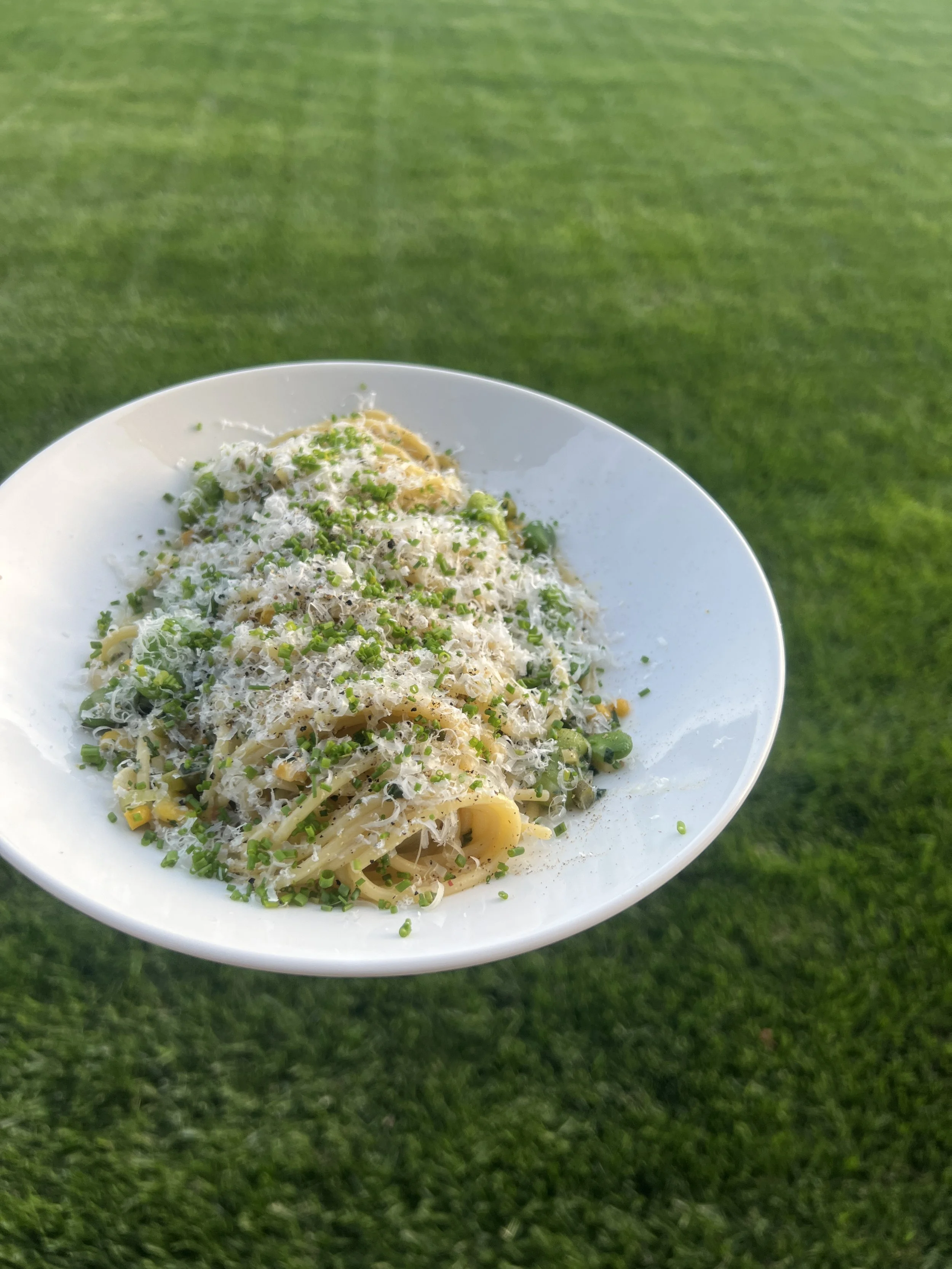 A plate of pasta with grated cheese and chopped herbs, held above a grassy outdoor area.