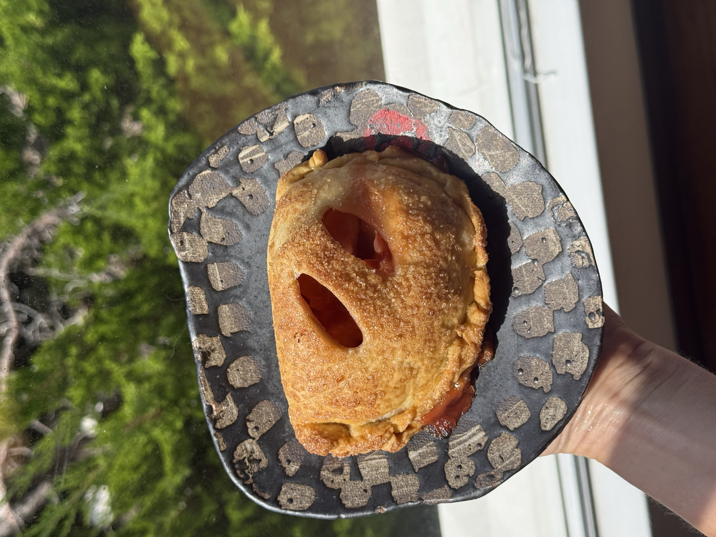 A hand holding a black patterned serving plate with a fried item that looks like a savory pastry or stuffed dough, with a hole revealing a red filling inside, against a background of green moss-like plants and sunlight.