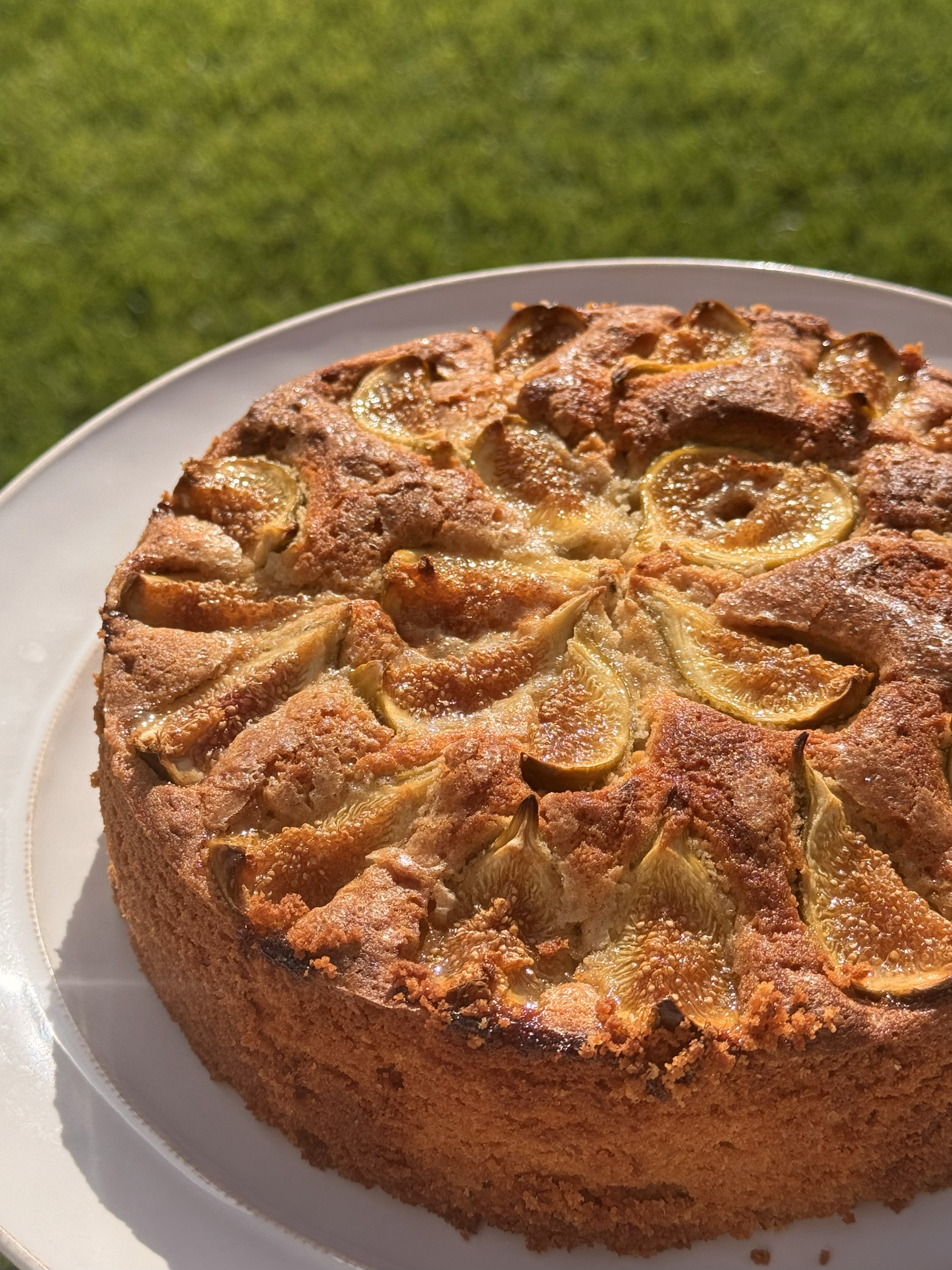 A close-up of a homemade apple cake with sliced apples on top, placed on a white plate against a blurred green background.