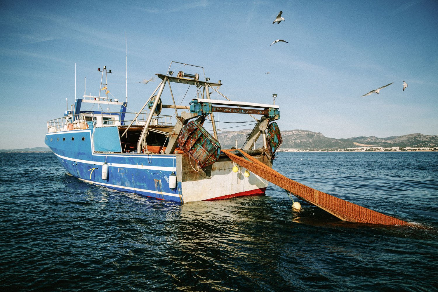 24_Al Arrastre__©DavidVilanova.jpg