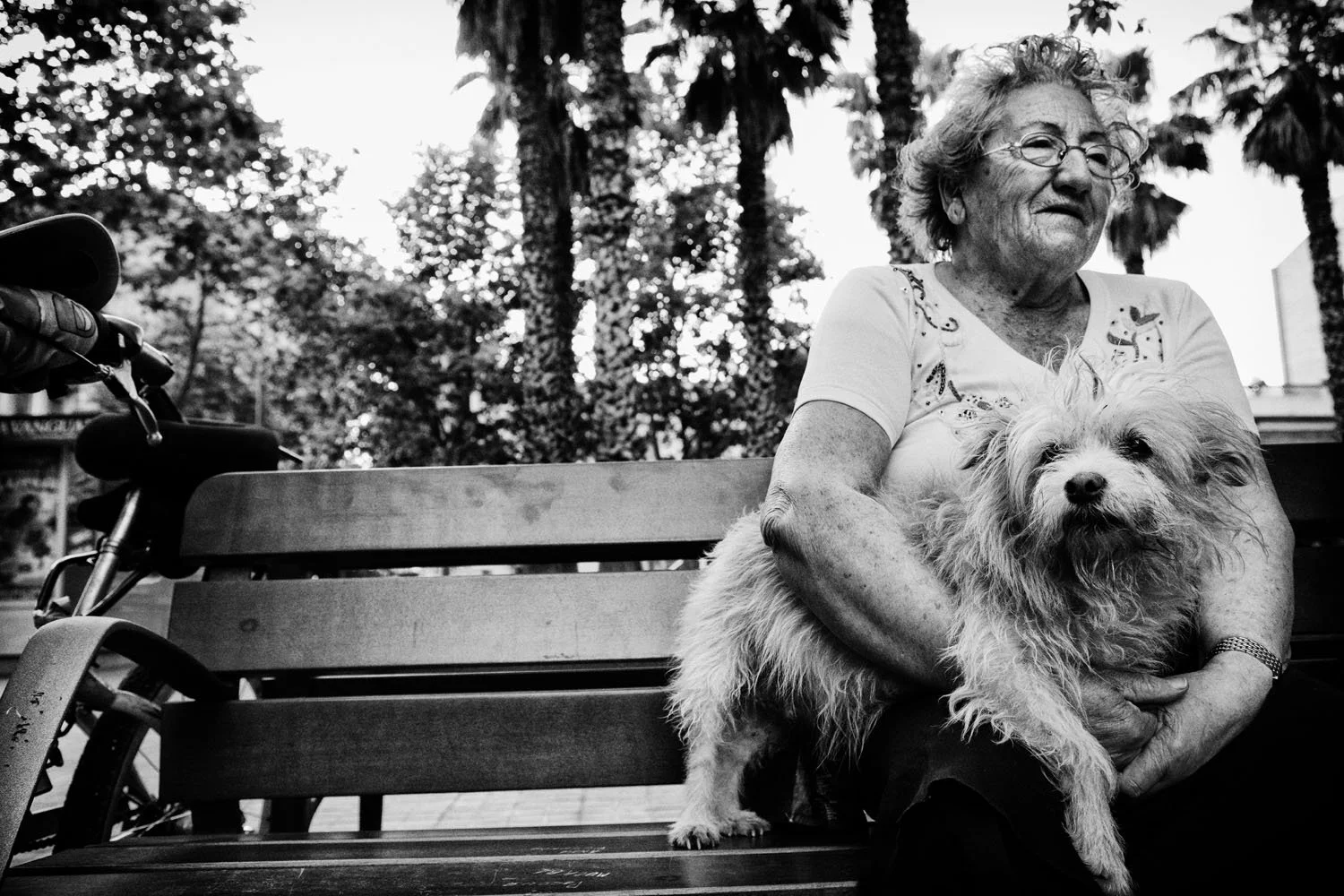 19_La vie este belle__©DavidVilanova.jpg