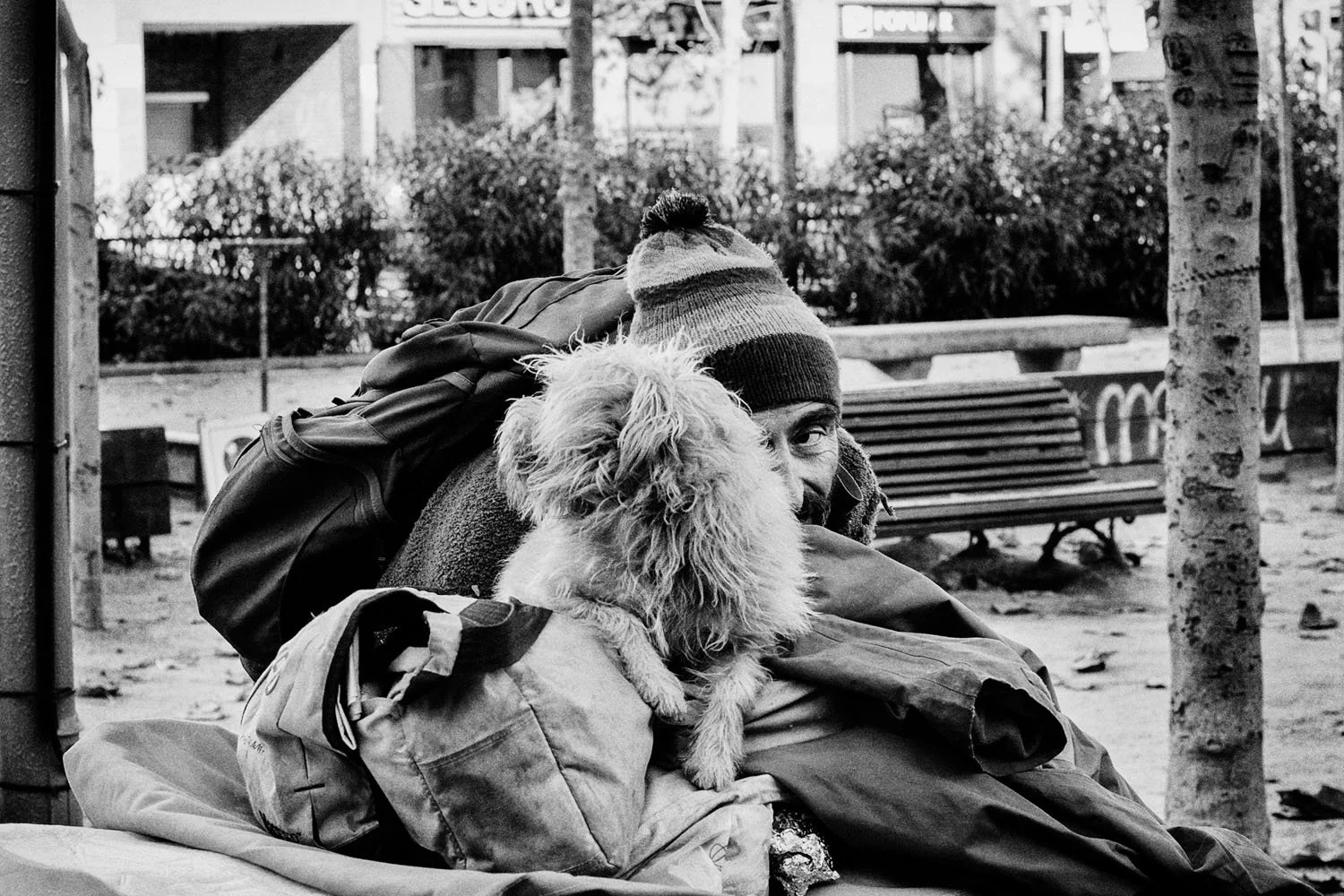 06_La vie este belle__©DavidVilanova.jpg