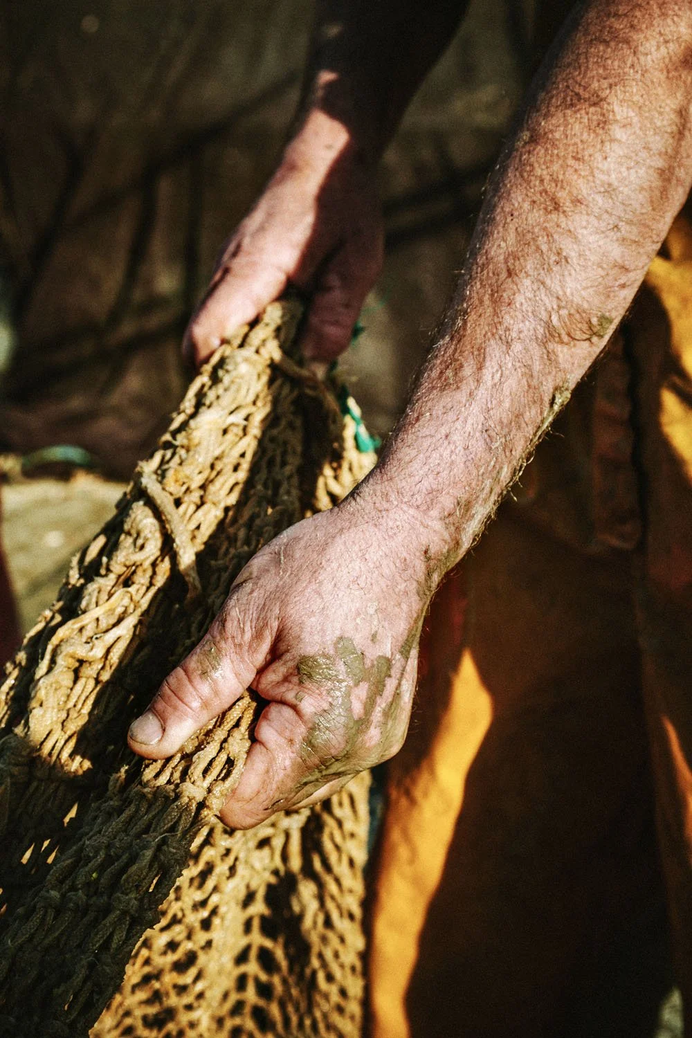 20_Al Arrastre__©DavidVilanova.jpg