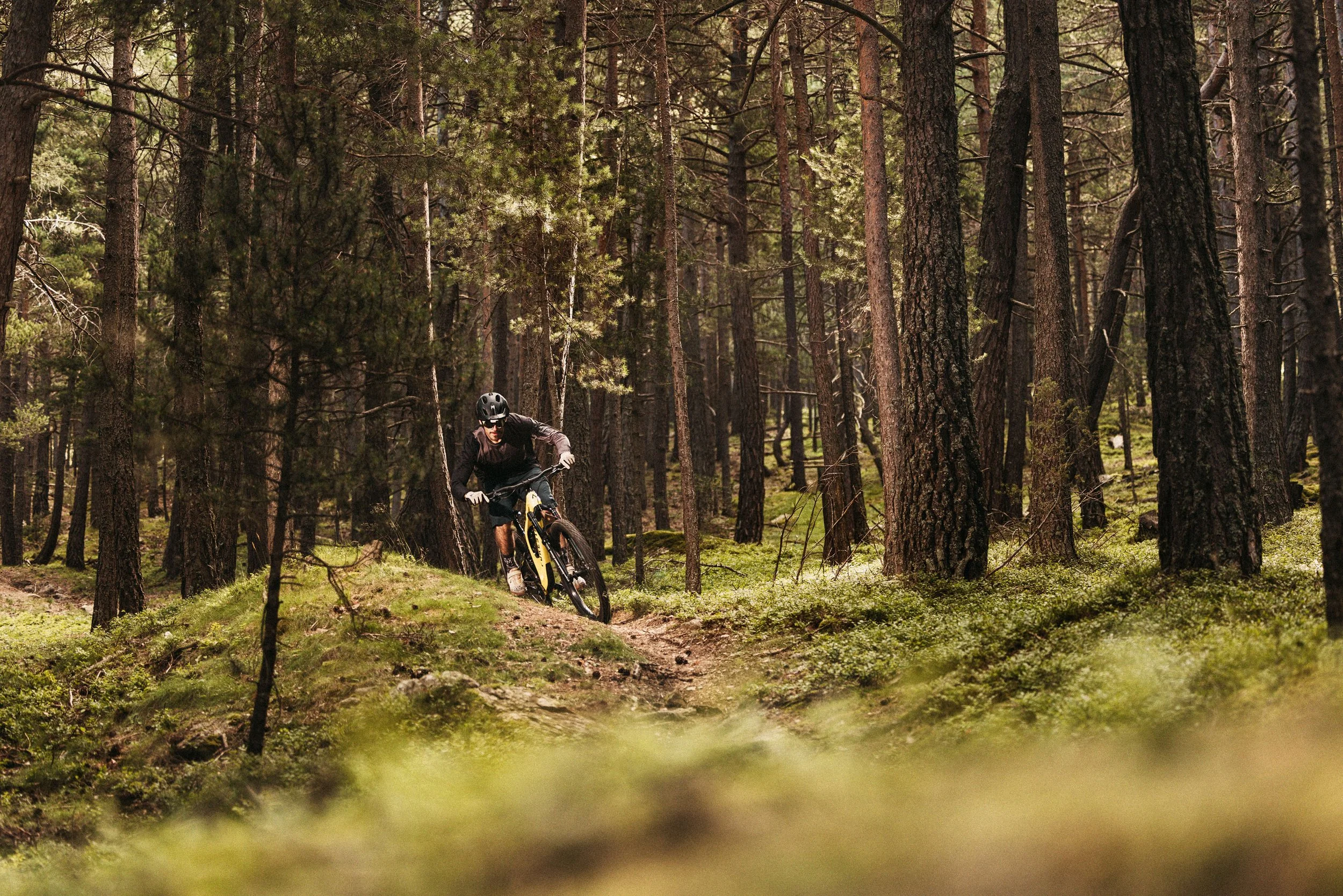 Naturland_Guanyant_Moments_Bici_2026_©Revels_001.jpg