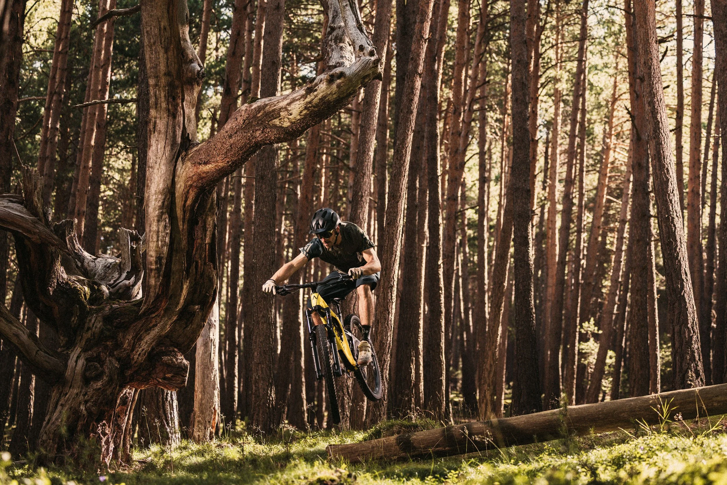 Naturland_Guanyant_Moments_Bici_2026_©Revels_002.jpg