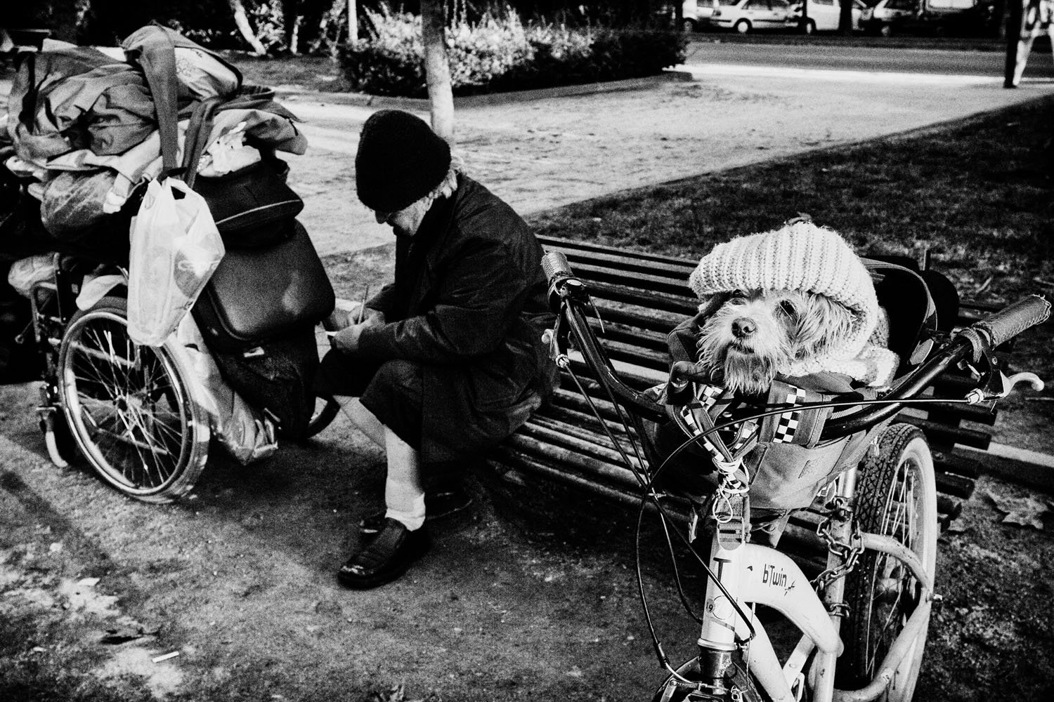 13_La vie este belle__©DavidVilanova.jpg