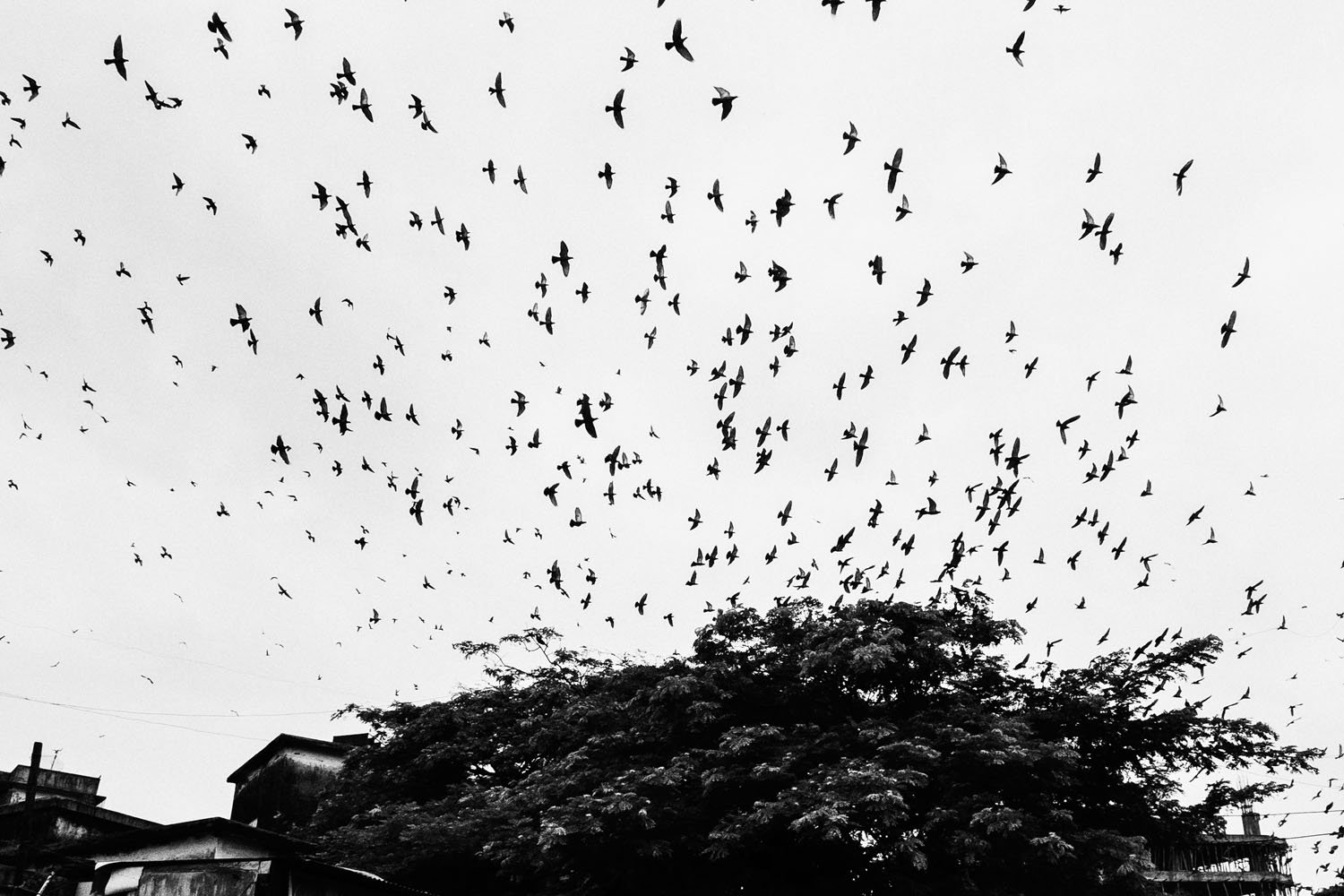 01_Believe-in-tomorrow__©DavidVilanova.jpg