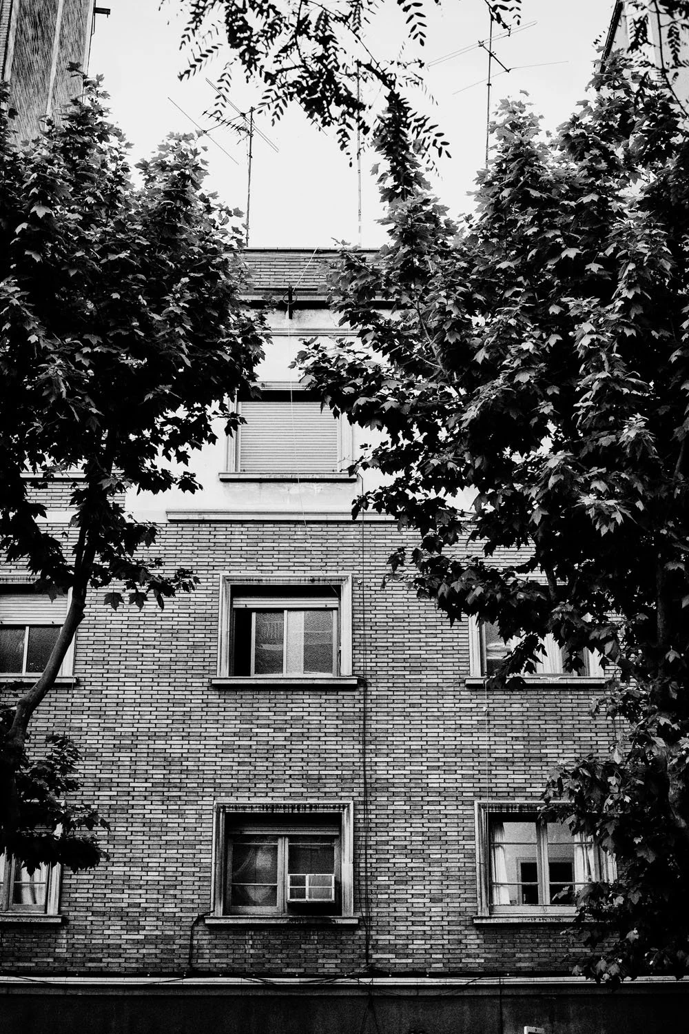 08_La vie este belle__©DavidVilanova.jpg