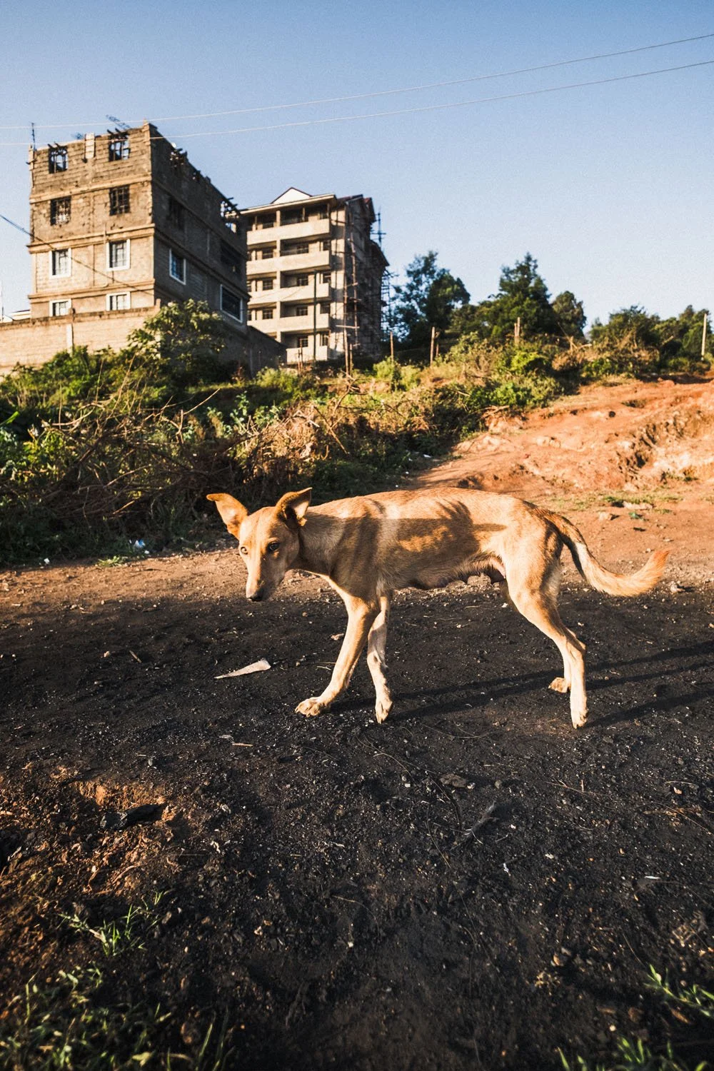 06_Kibera__©DavidVilanova.jpg
