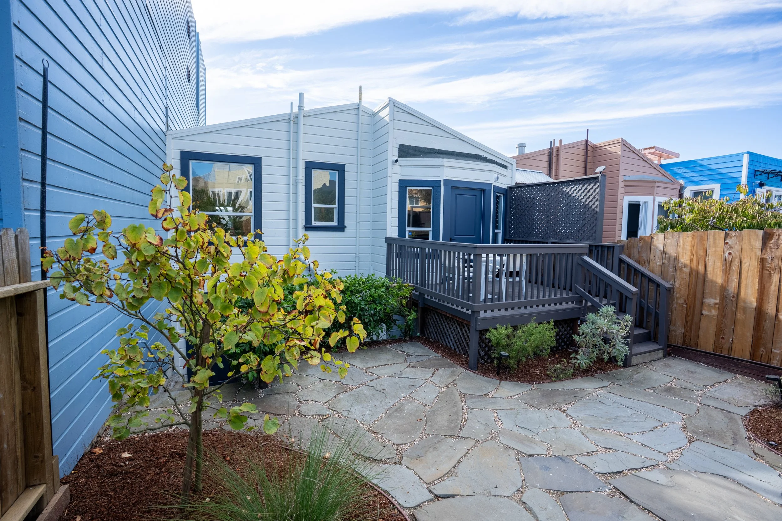 Backyard with stone patio, small tree, plants, and colorful row of houses with different colored siding.