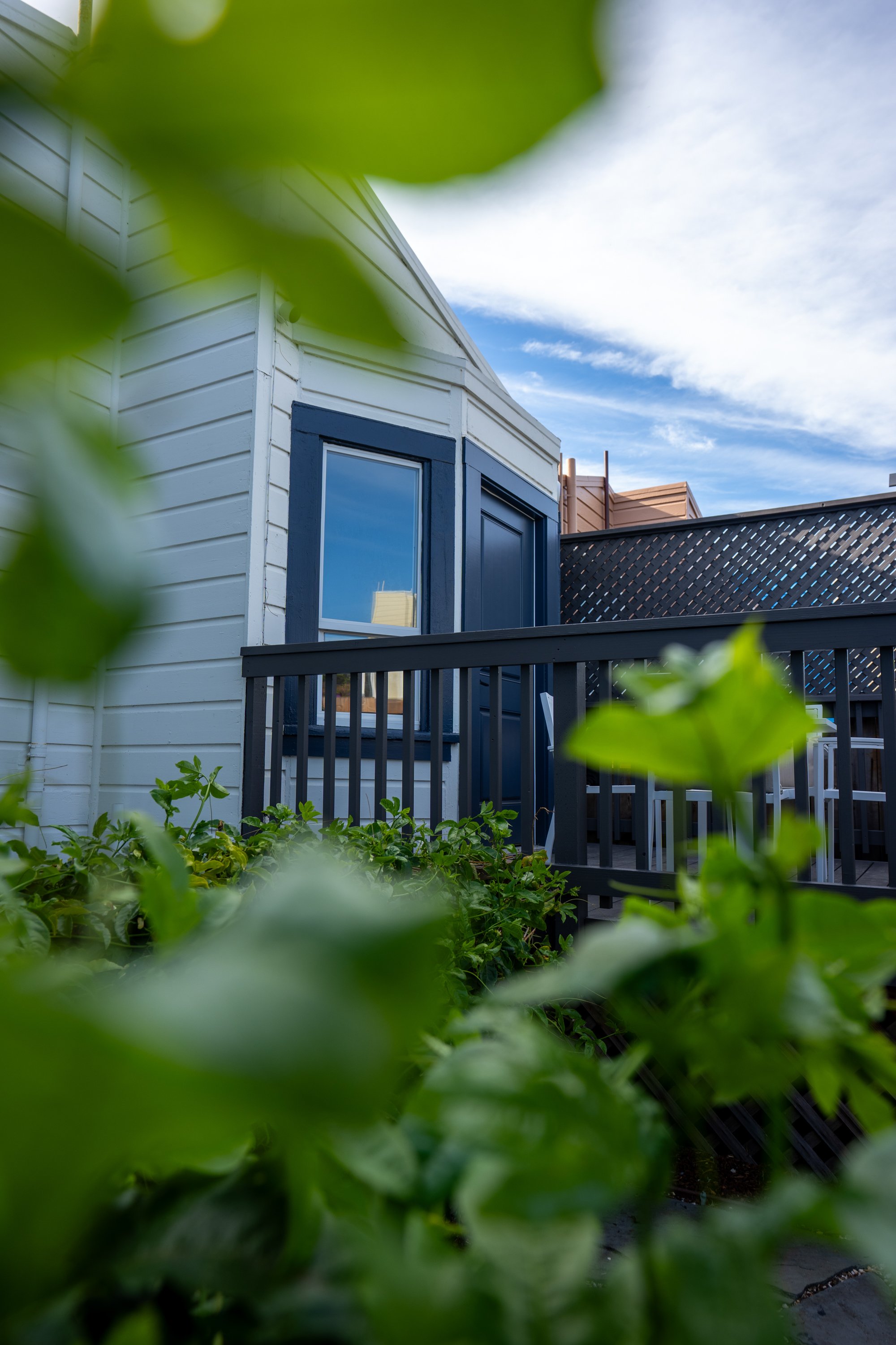 View of a modern house with white siding and blue window frames, partially obscured by green foliage, under a partly cloudy sky.