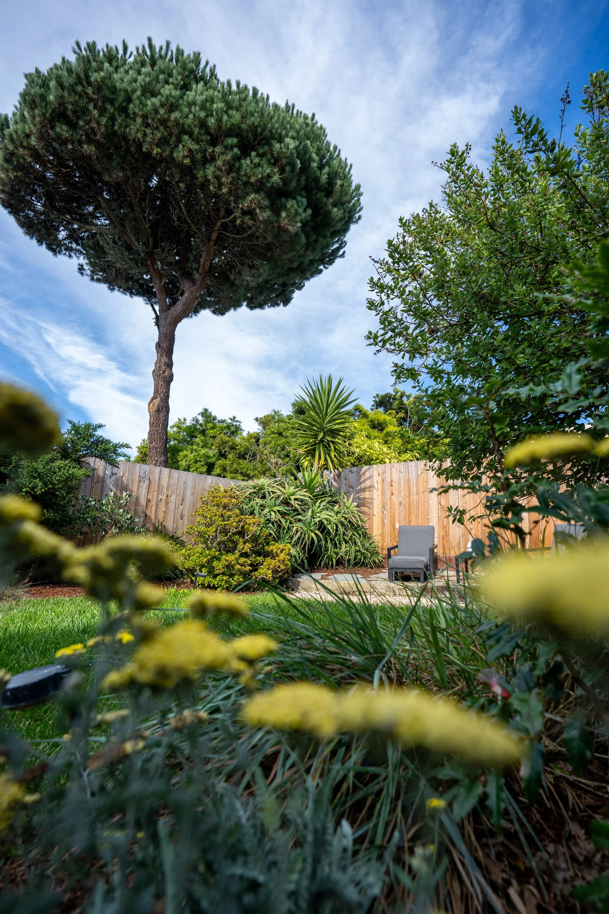 A backyard garden with a large tree, various shrubs, and a wooden fence, with a chair and small table on a patio.