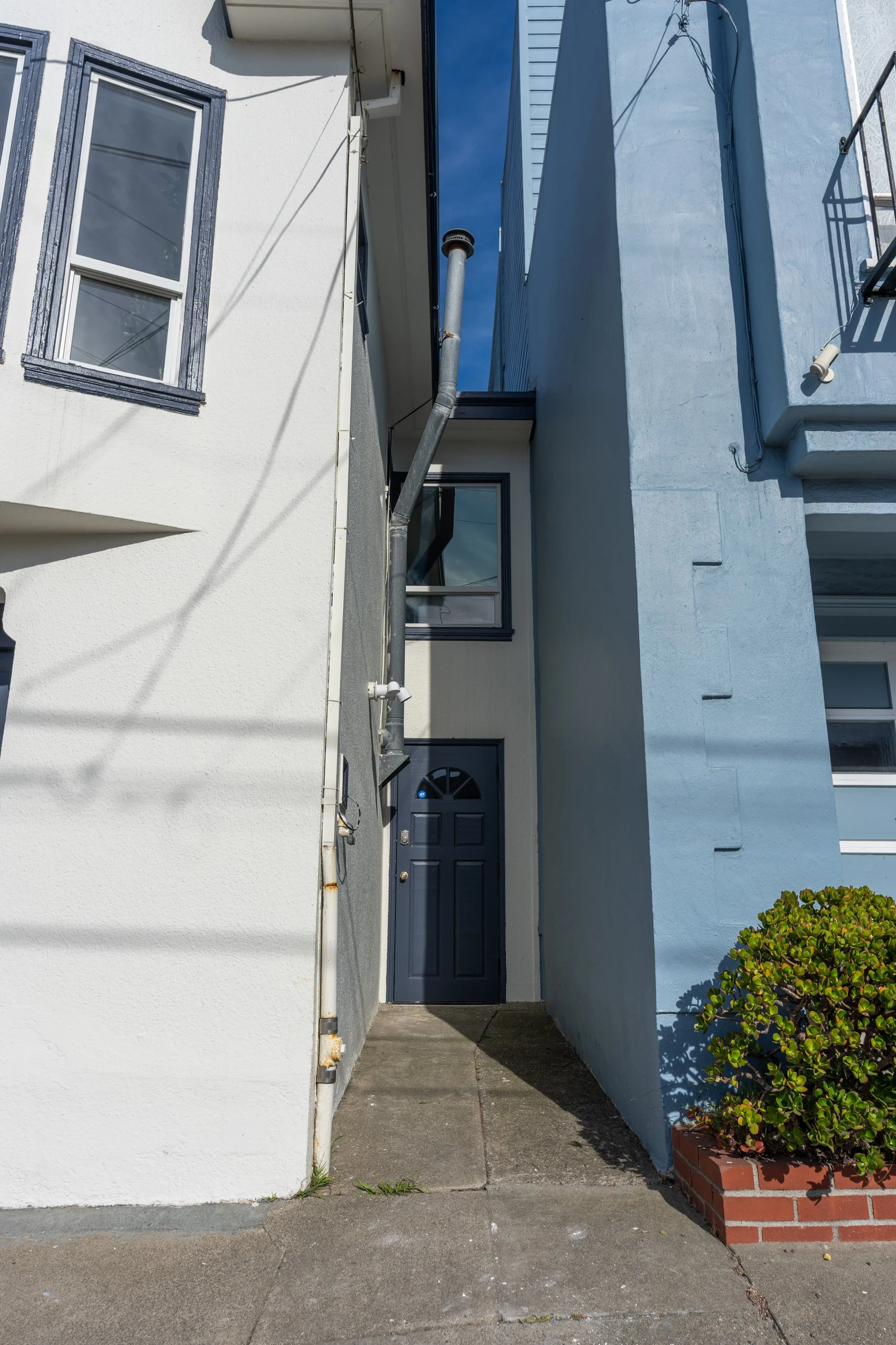 Apartment building entrance with black door, white and light blue walls, window with black trim, small green bush in a brick planter, and sidewalk.