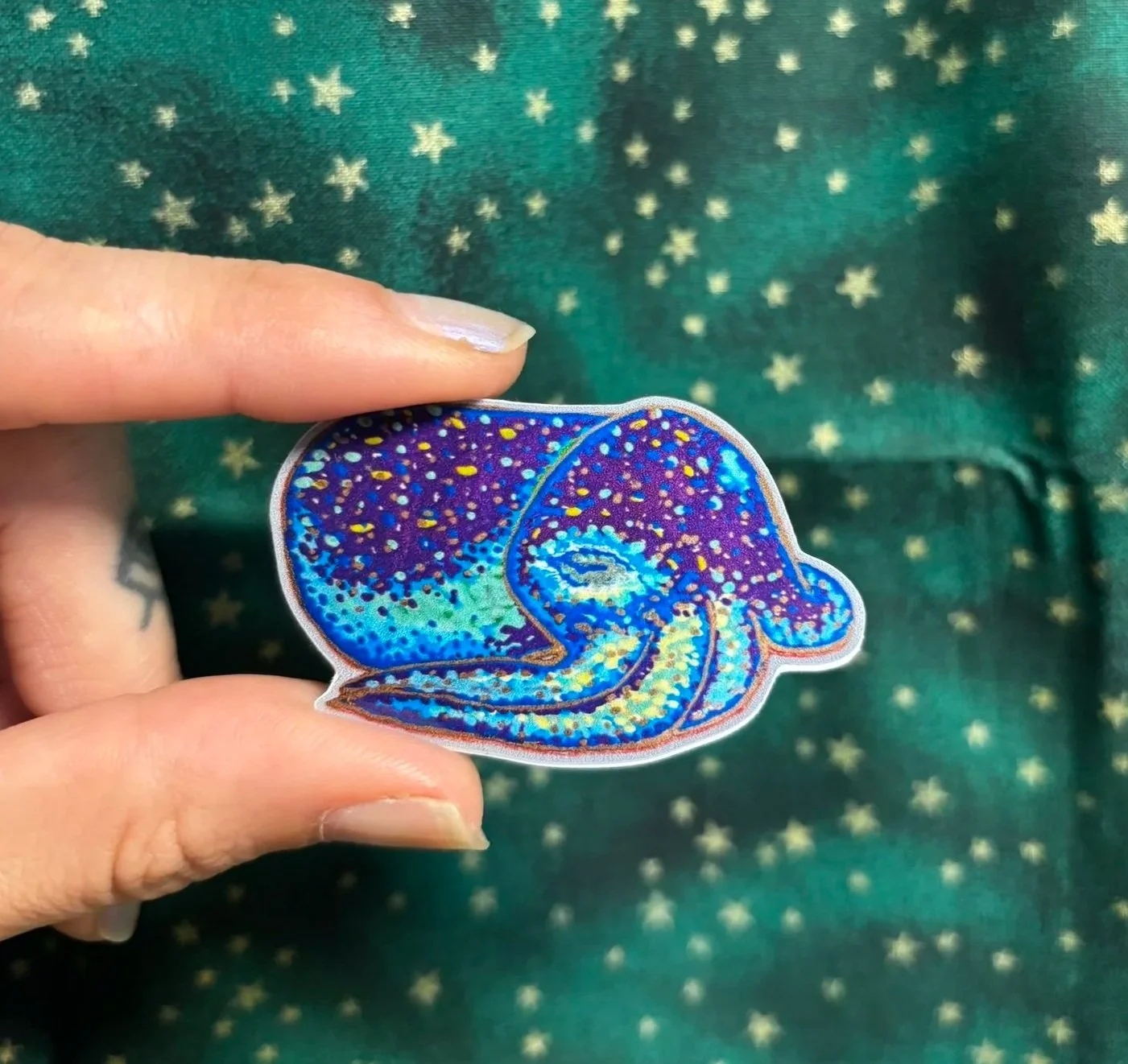 Bobtail+Squid+w+stars.jpg