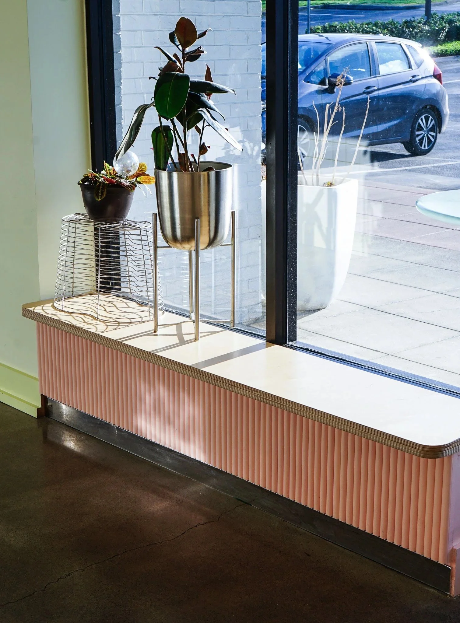 Interior view of a window display with two potted plants on a pink ledge, one with large dark green leaves and the other with smaller colorful leaves. Outside, a parked car and a sidewalk are visible through the window.