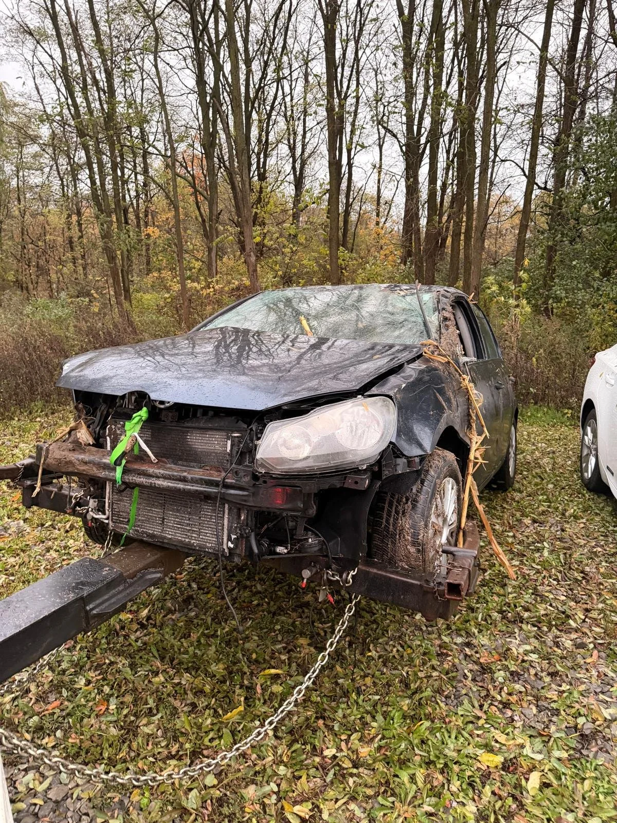 Damaged black SUV with significant front-end and side damage parked on grass with fallen leaves, surrounded by trees in an outdoor setting.